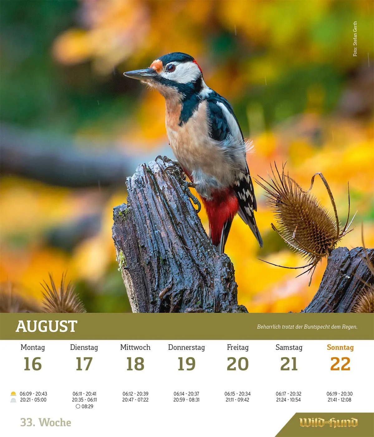 WILD UND HUND Edition: Jagdkalender Wandvariante 2027 – Ansicht