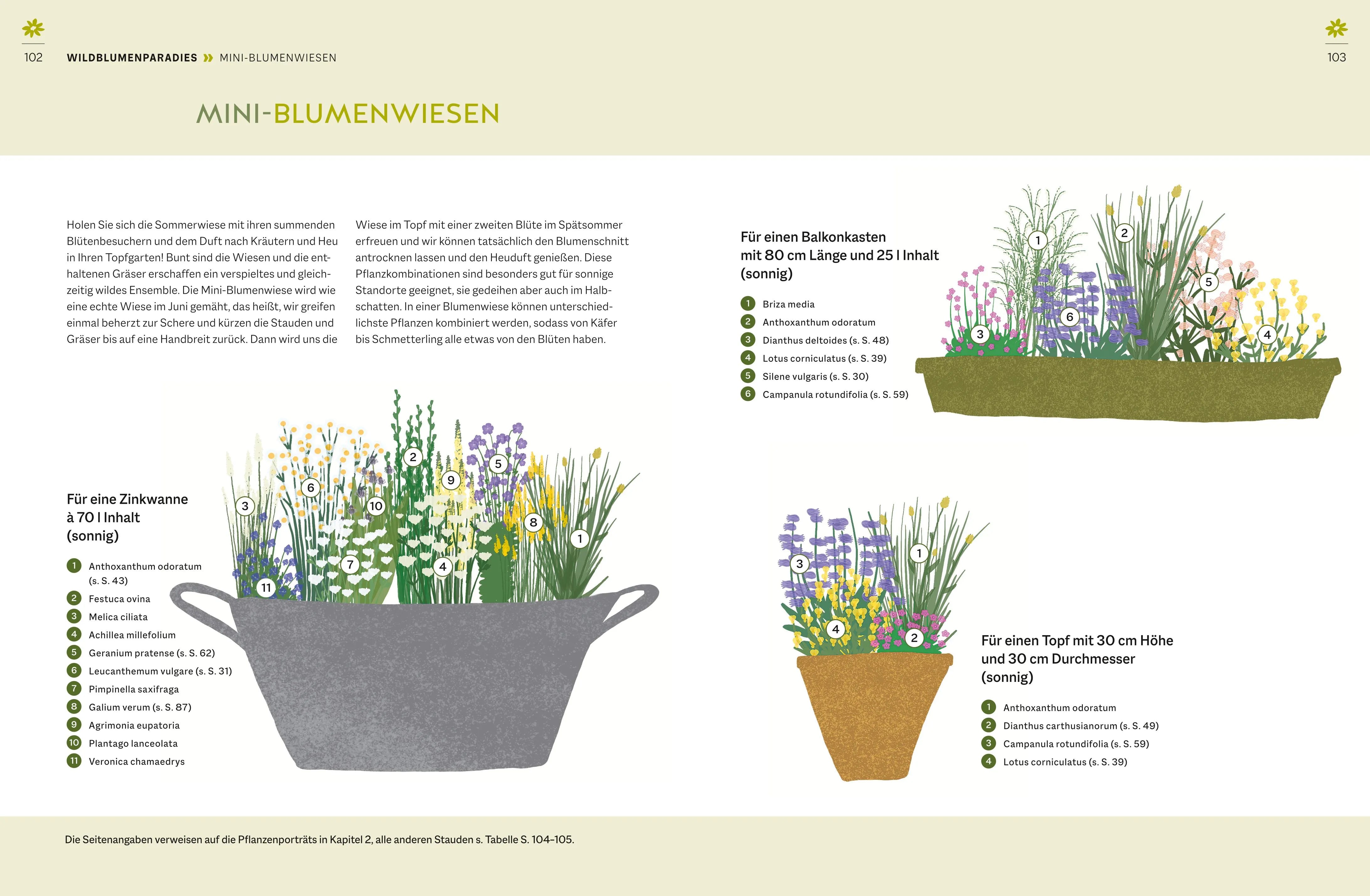 Nina Keller - Wildblumen für Balkon und Terrasse