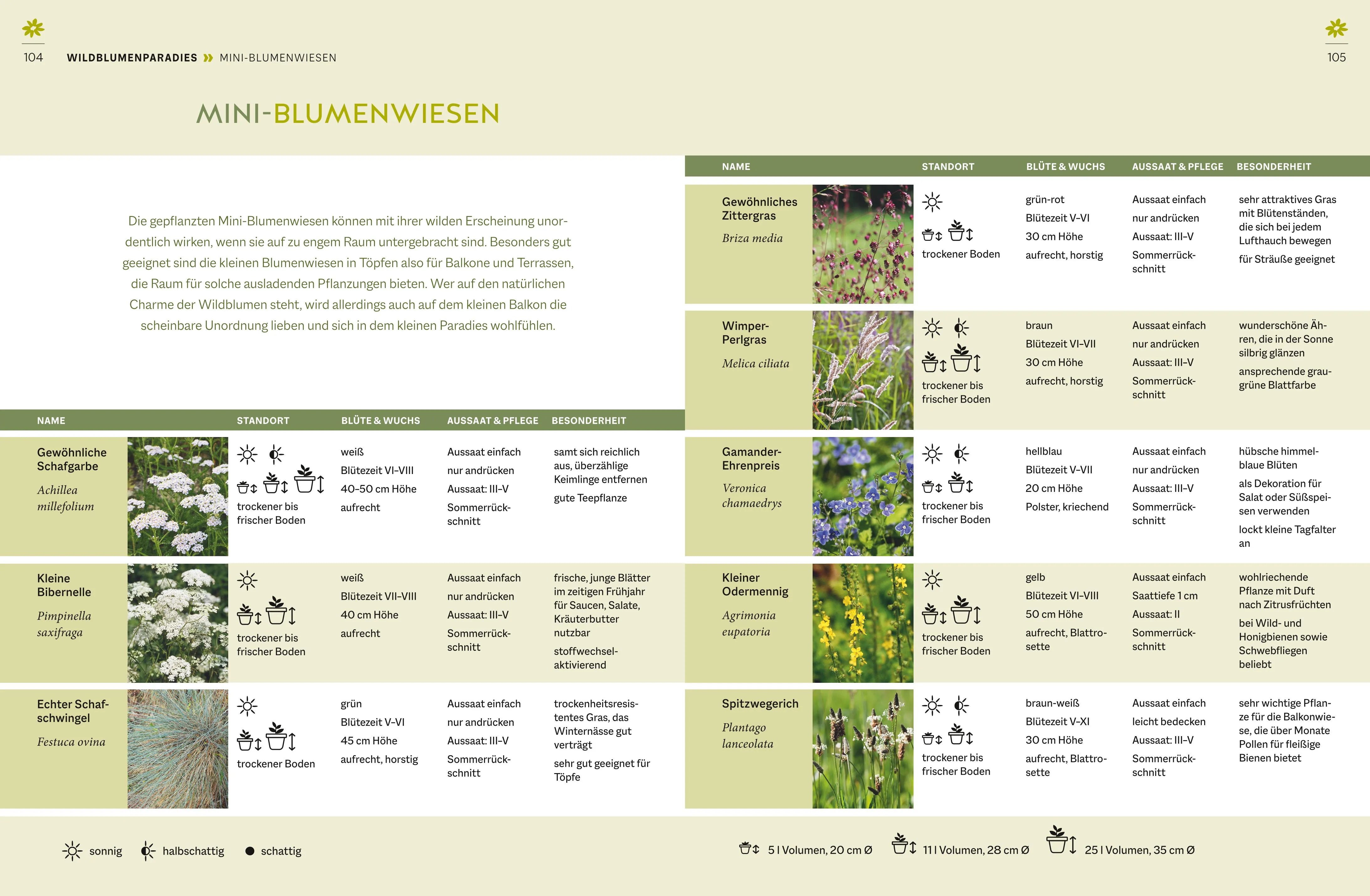 Abbildung von 'Wildblumen für Balkon und Terrasse'