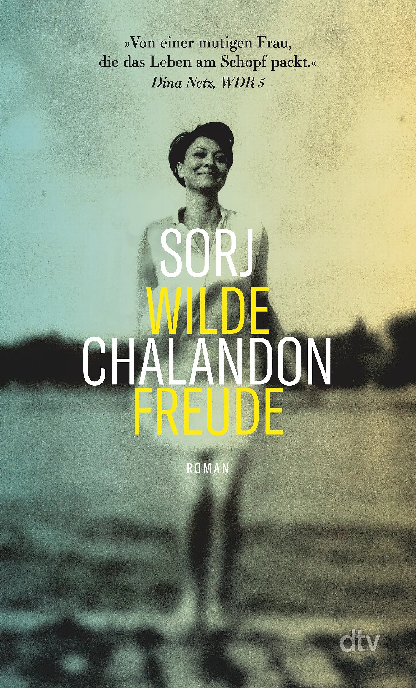 Buchcover von 'Wilde Freude' - Taschenbuch von Sorj Chalandon