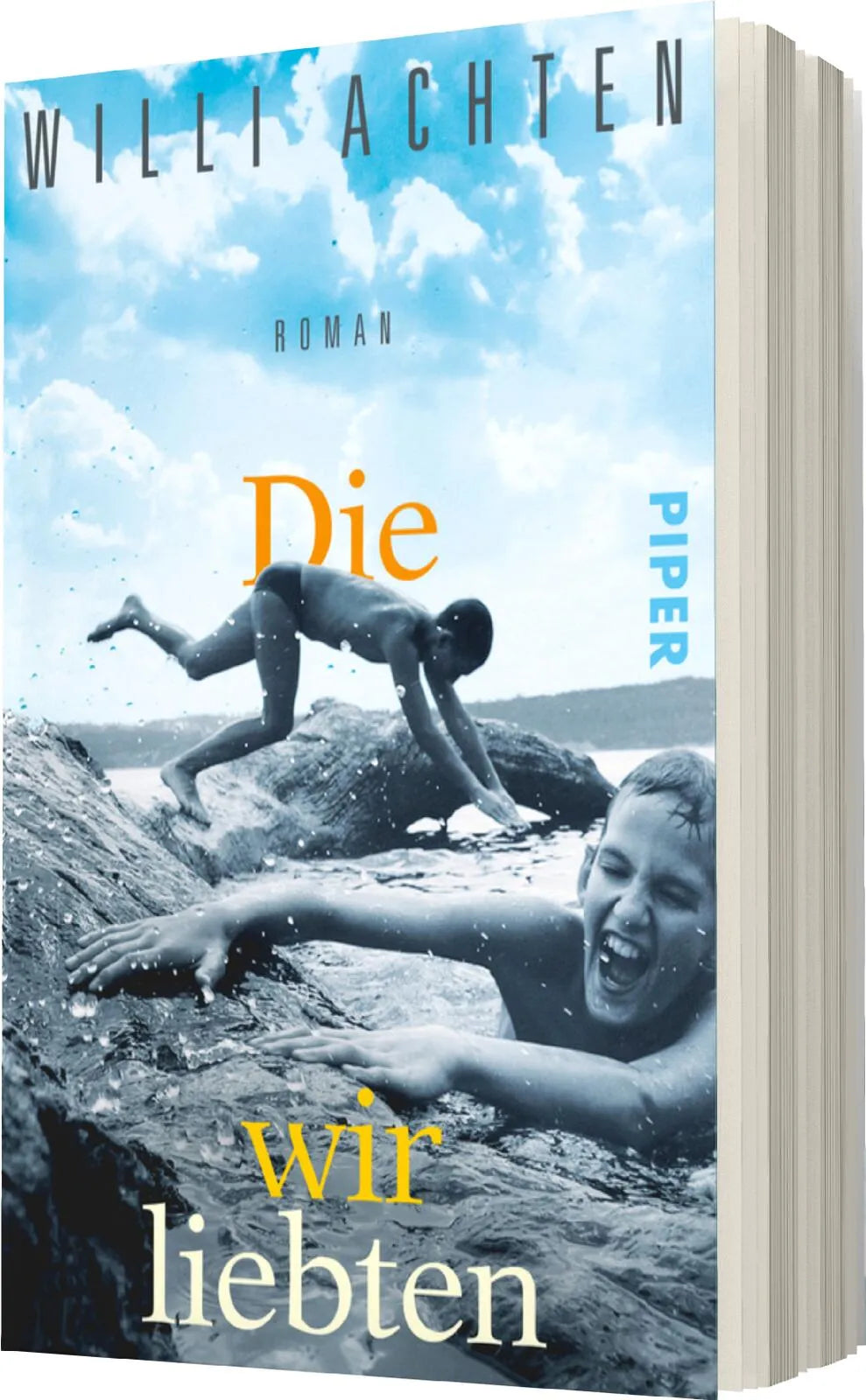 Produktansicht: Die wir liebten (Taschenbuch)