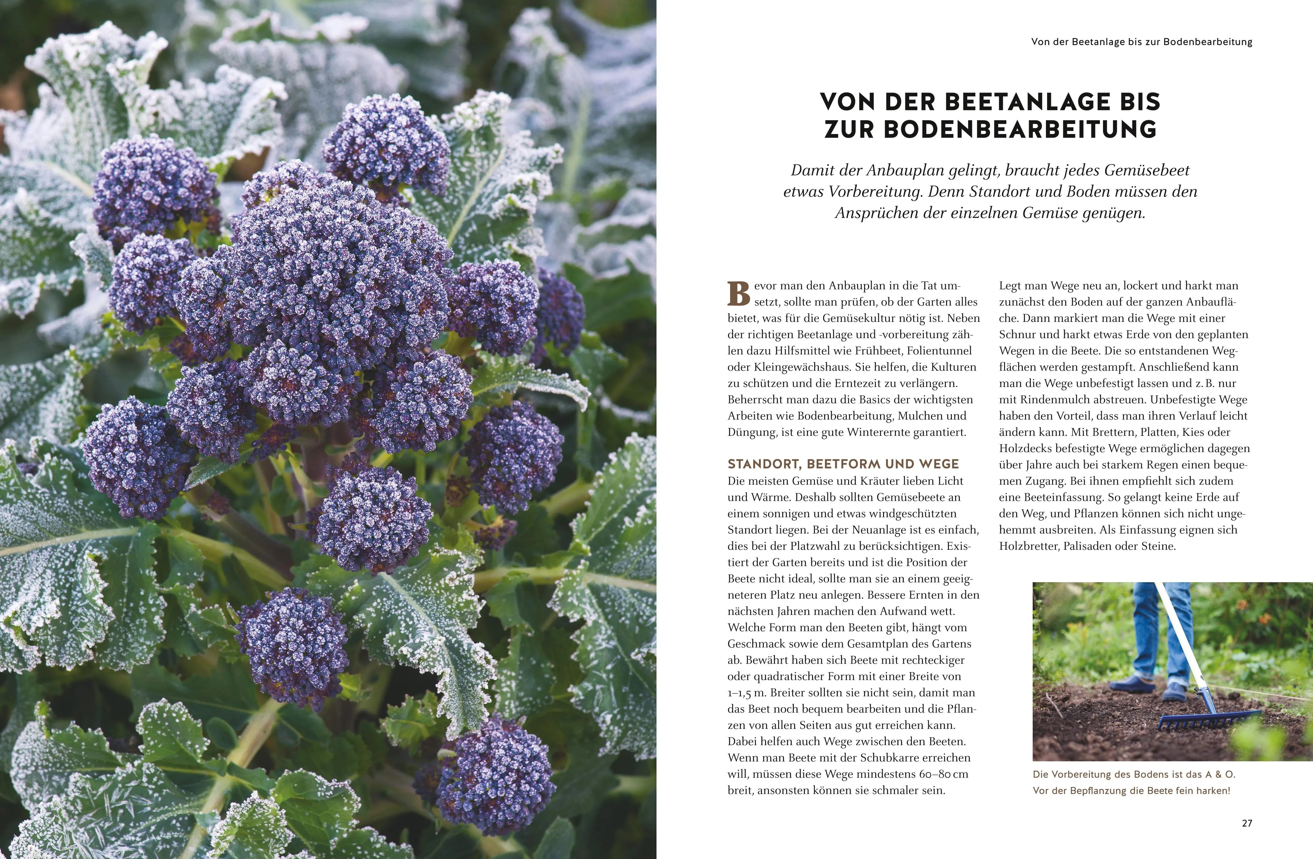 Produktansicht: Wintergemüse anbauen (Gebundene Ausgabe)