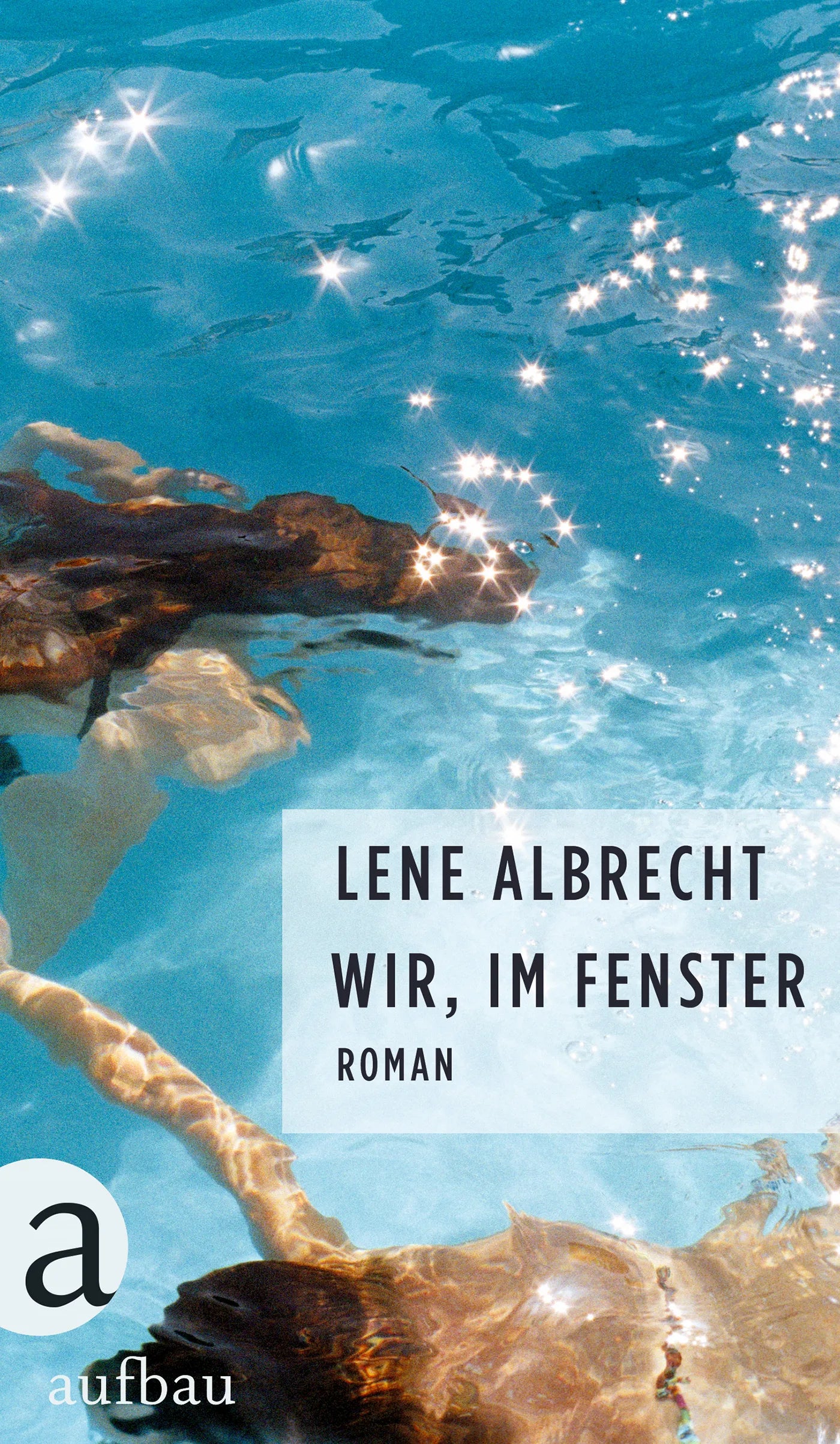 Buchcover von 'Wir, im Fenster' - Gebundene Ausgabe von Lene Albrecht