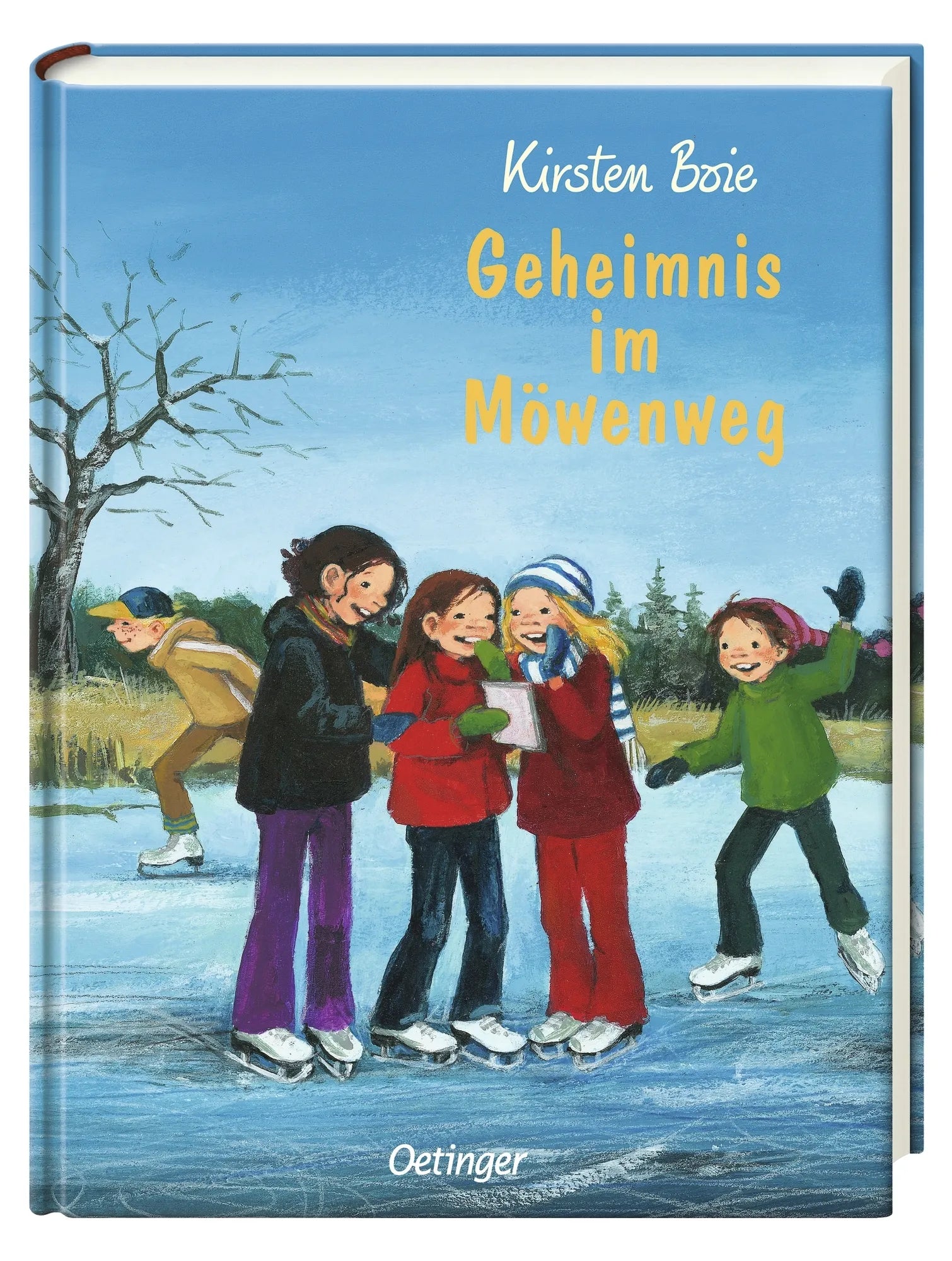 Produktansicht: Wir Kinder aus dem Möwenweg 6. Geheimnis im Möwenweg (Gebundene Ausgabe)