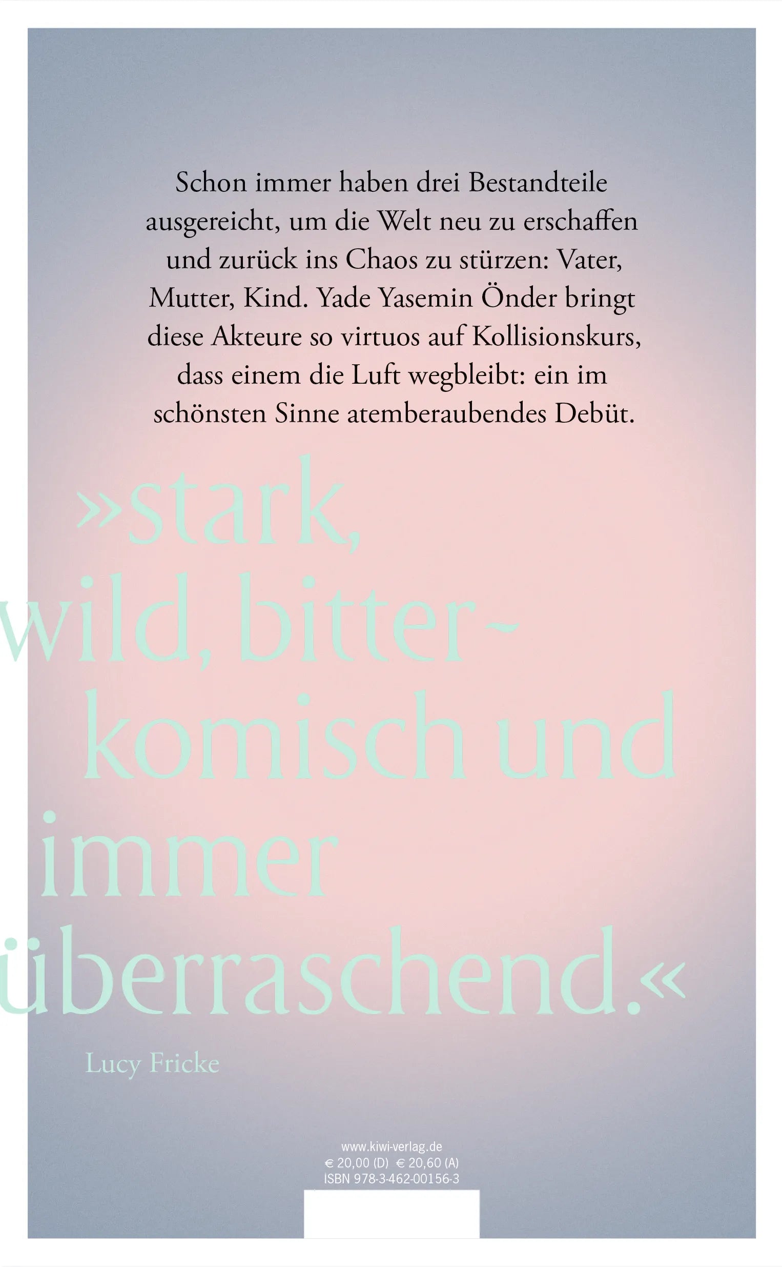 Buchrückseite von 'Wir wissen, wir könnten, und fallen synchron' mit Klappentext - Gebundene Ausgabe