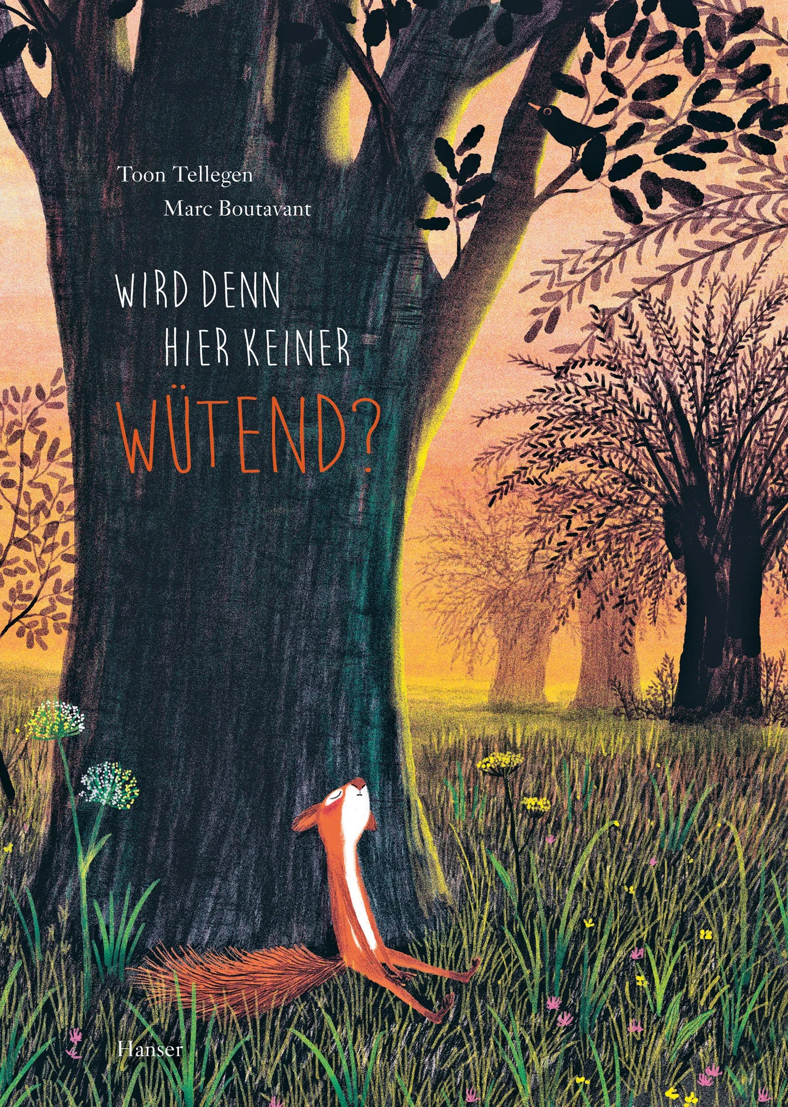 Buchcover von 'Wird denn hier keiner wütend?' - Gebundene Ausgabe von Toon Tellegen