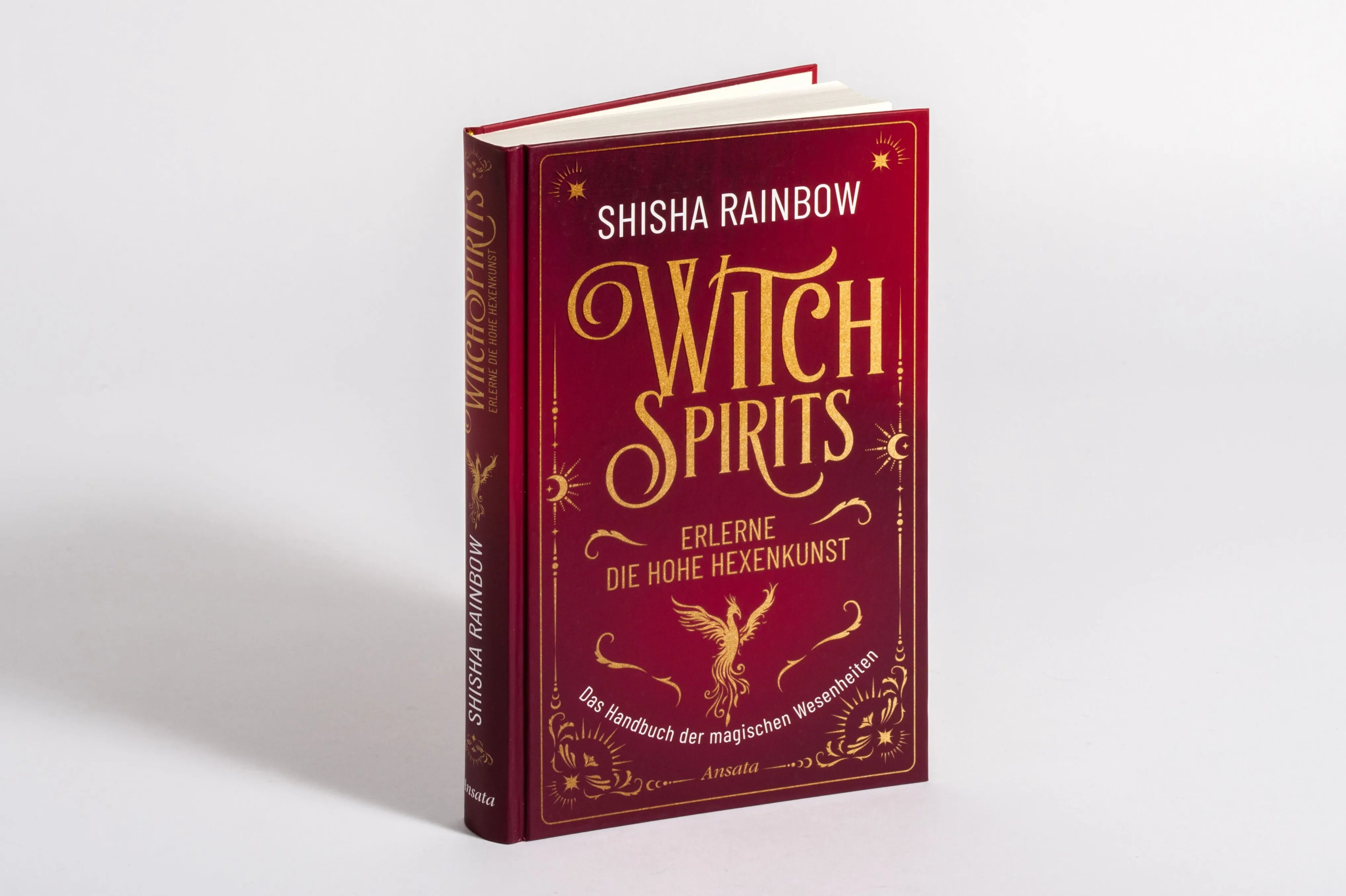 Detailansicht: WitchSpirits – Erlerne die Hohe Hexenkunst (Hardcover)