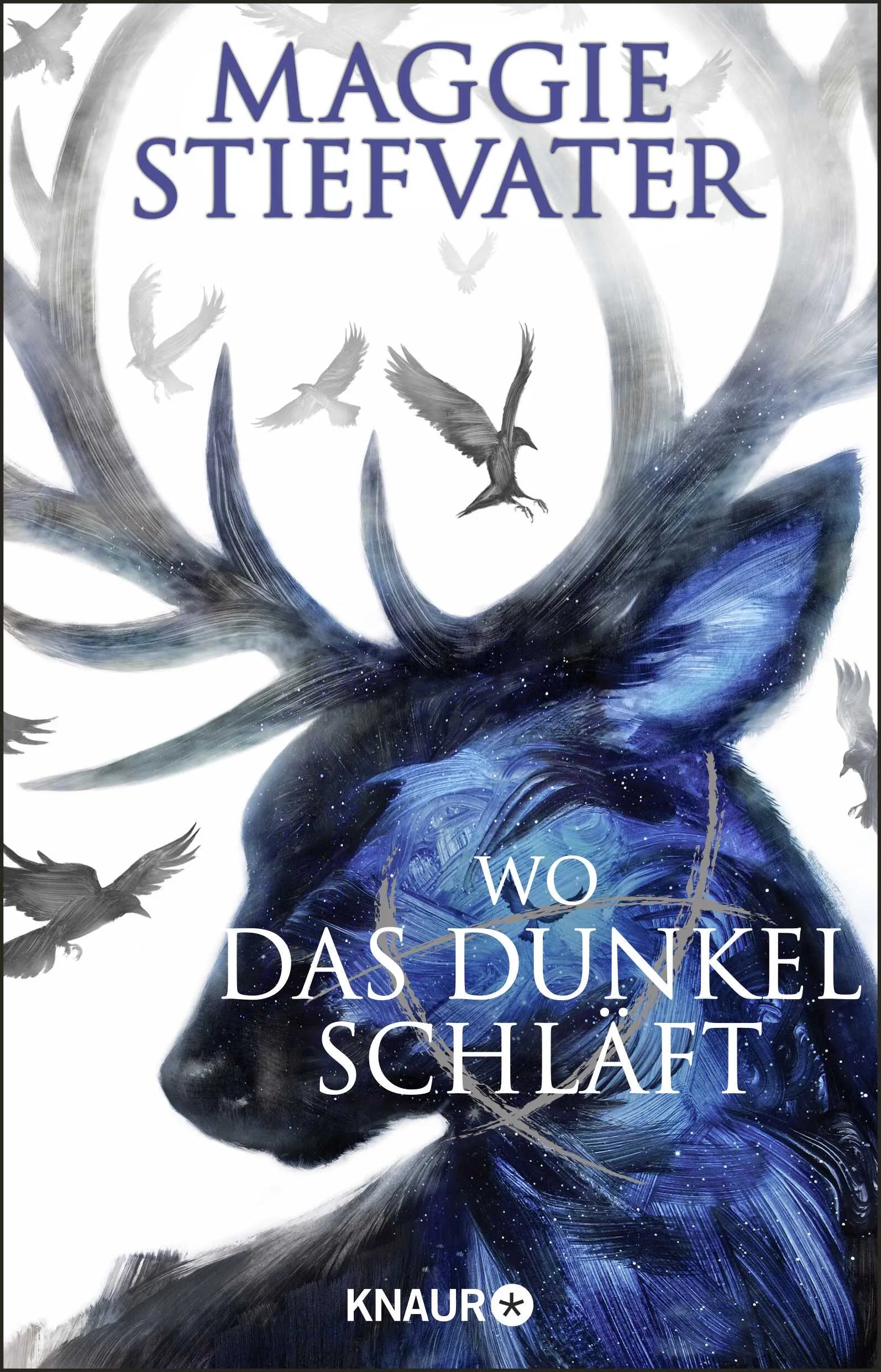 Buchcover von 'Wo das Dunkel schläft' - Taschenbuch von Maggie Stiefvater