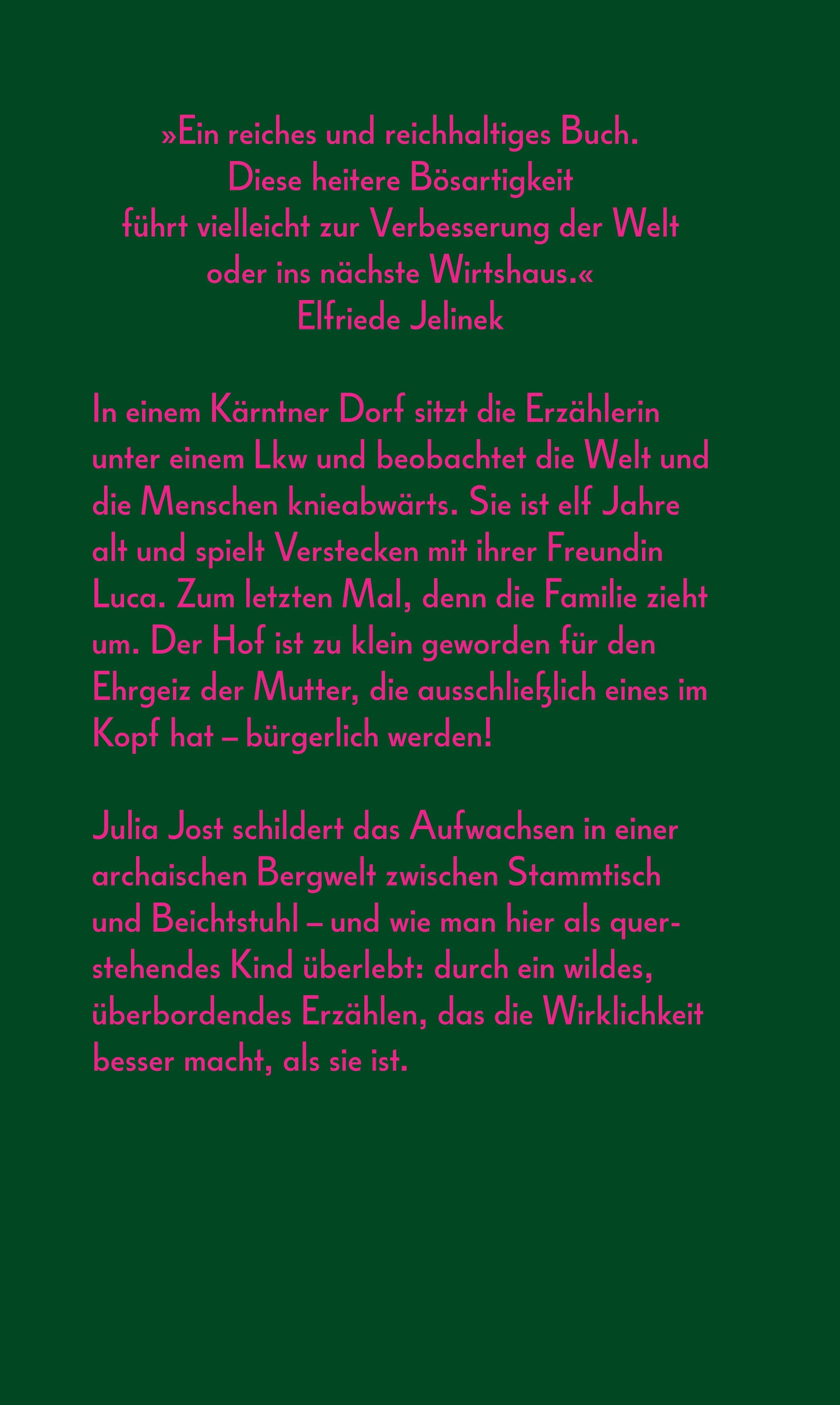 Buchrückseite von 'Wo der spitzeste Zahn der Karawanken in den Himmel hinauf fletscht' mit Klappentext - Gebundene Ausgabe