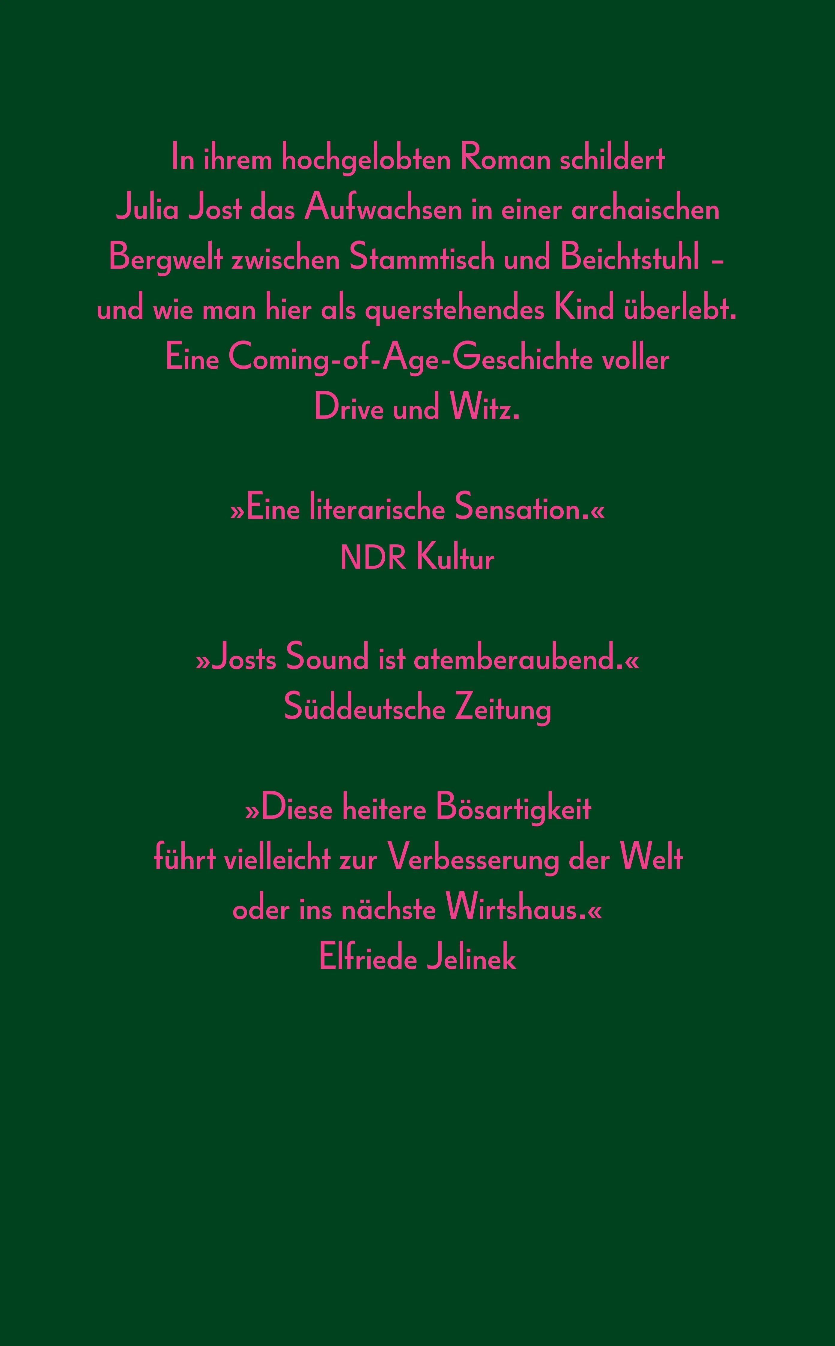 Buchrückseite von 'Wo der spitzeste Zahn der Karawanken in den Himmel hinauf fletscht' mit Klappentext - Taschenbuch