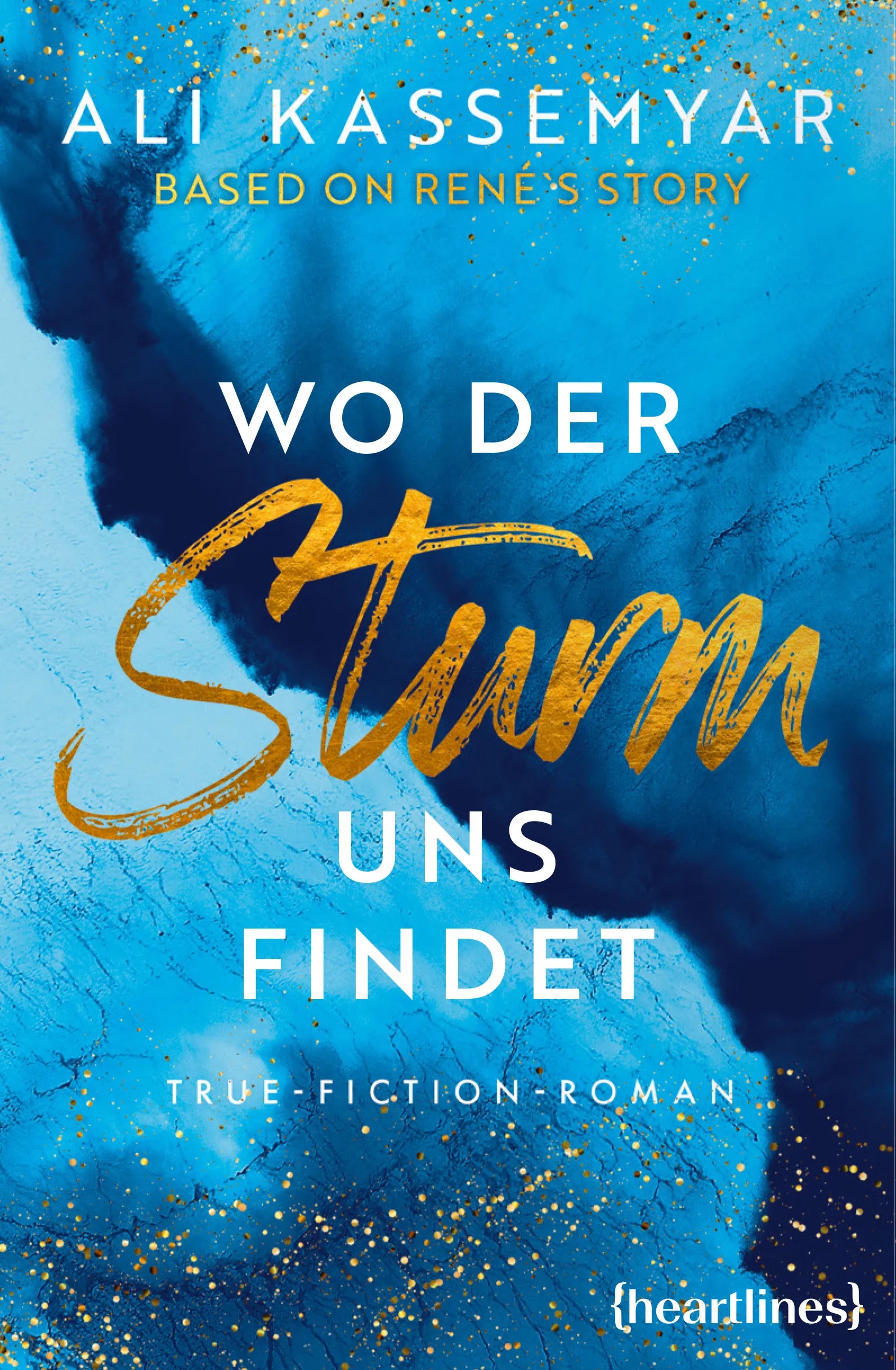Cover: Wo der Sturm uns findet – Based on René's Story (E-Book) von Ali Kassemyar