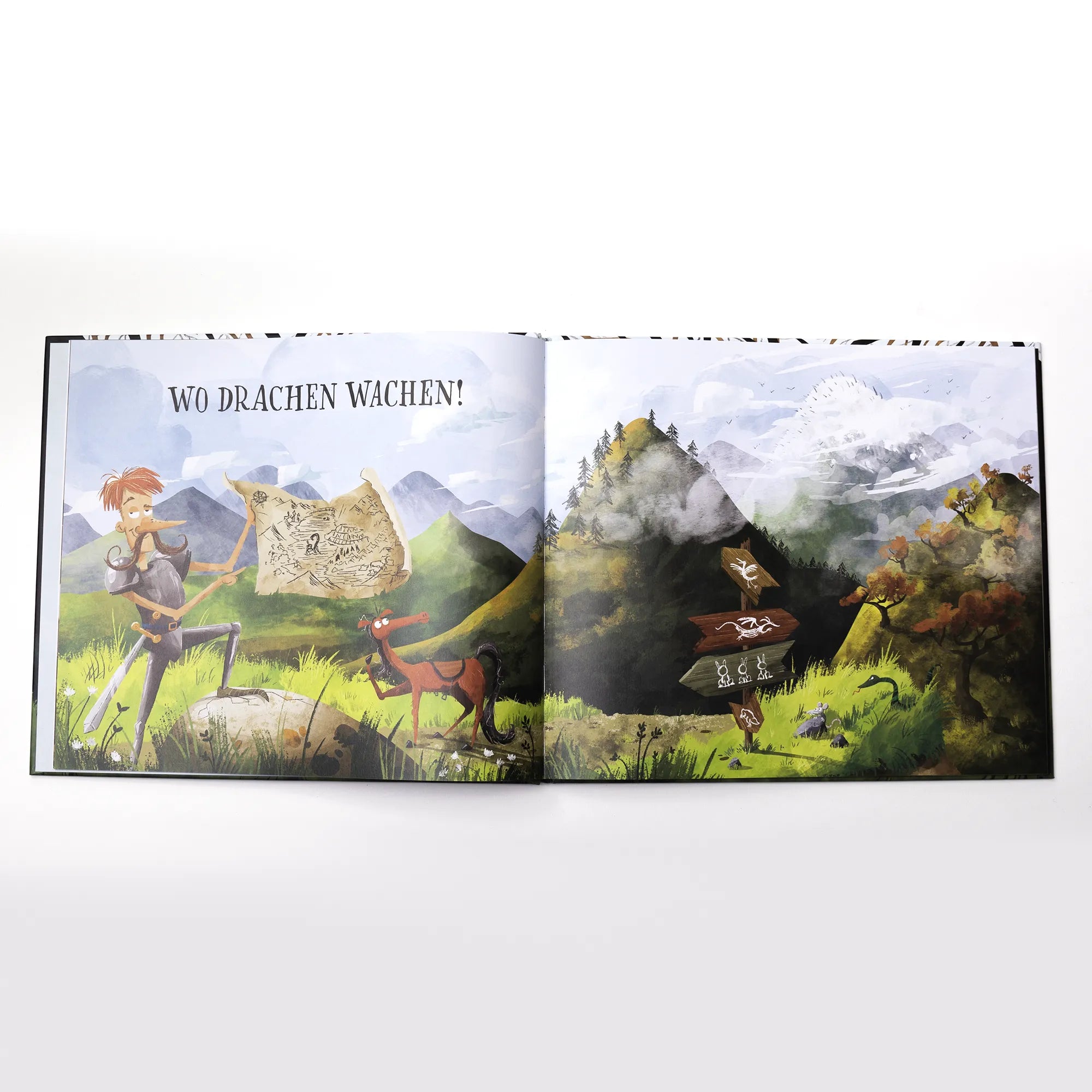 Produktansicht: Wo Drachen wachen (Gebundene Ausgabe)