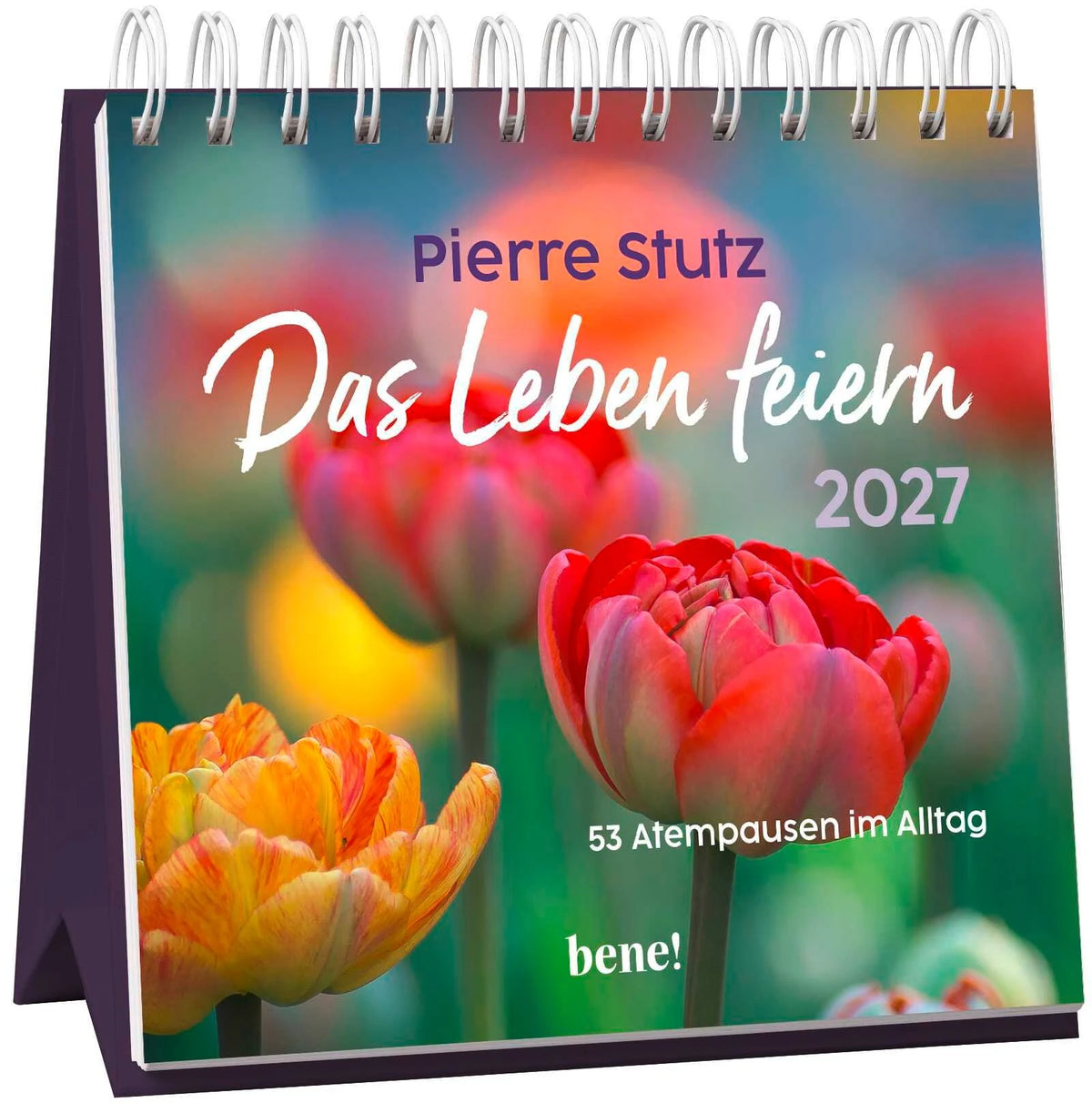 Taschenkalender: Wochenkalender 2027: Das Leben feiern