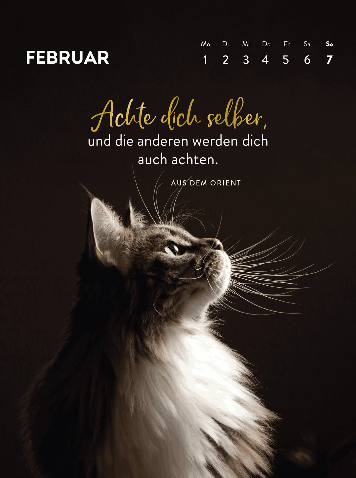 Wochenkalender 2027: Goldene Katzenweisheiten für jeden Tag – Ansicht