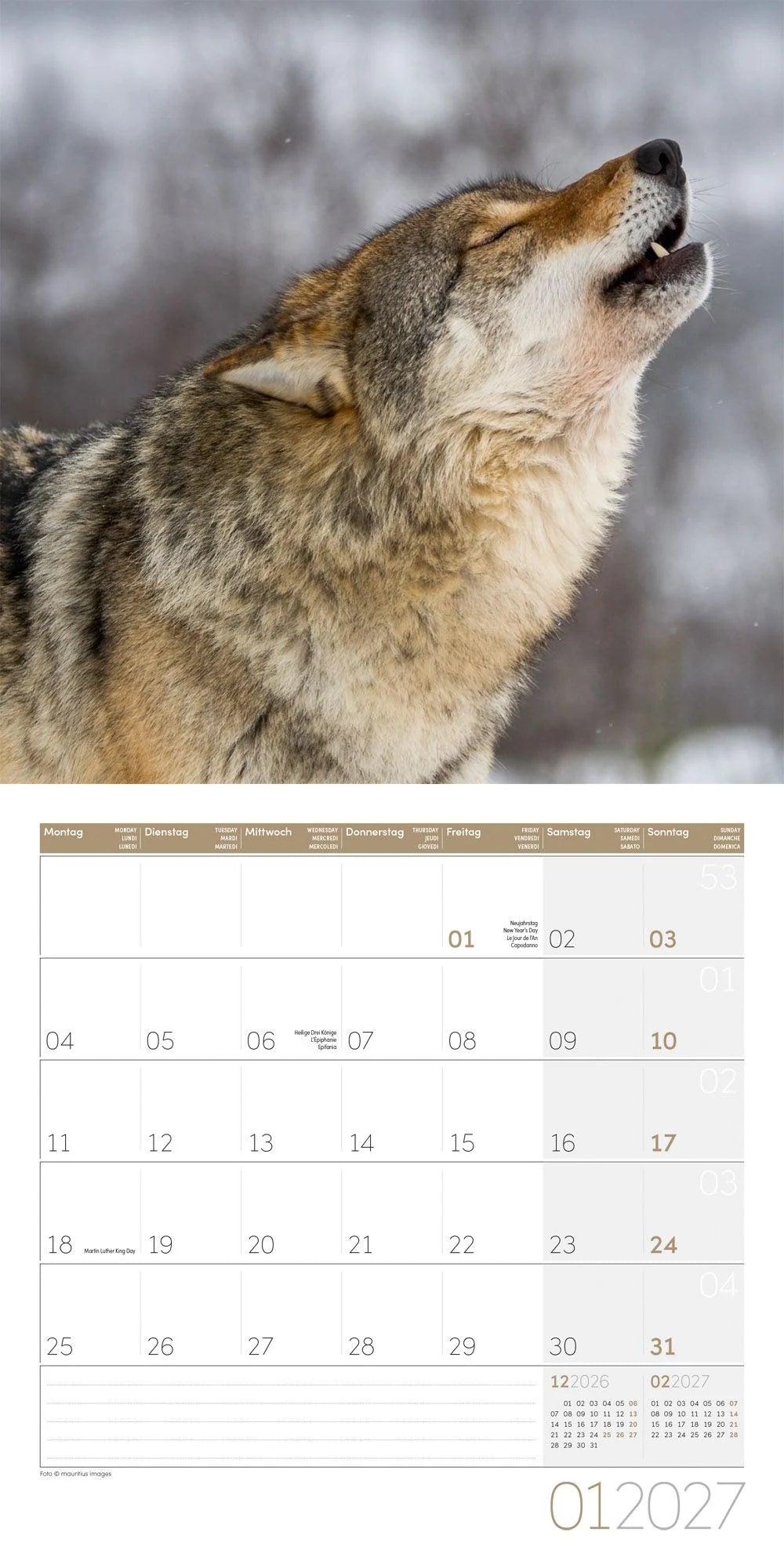 Wölfe Kalender 2027 - 30x30 - Art12 – Ansicht
