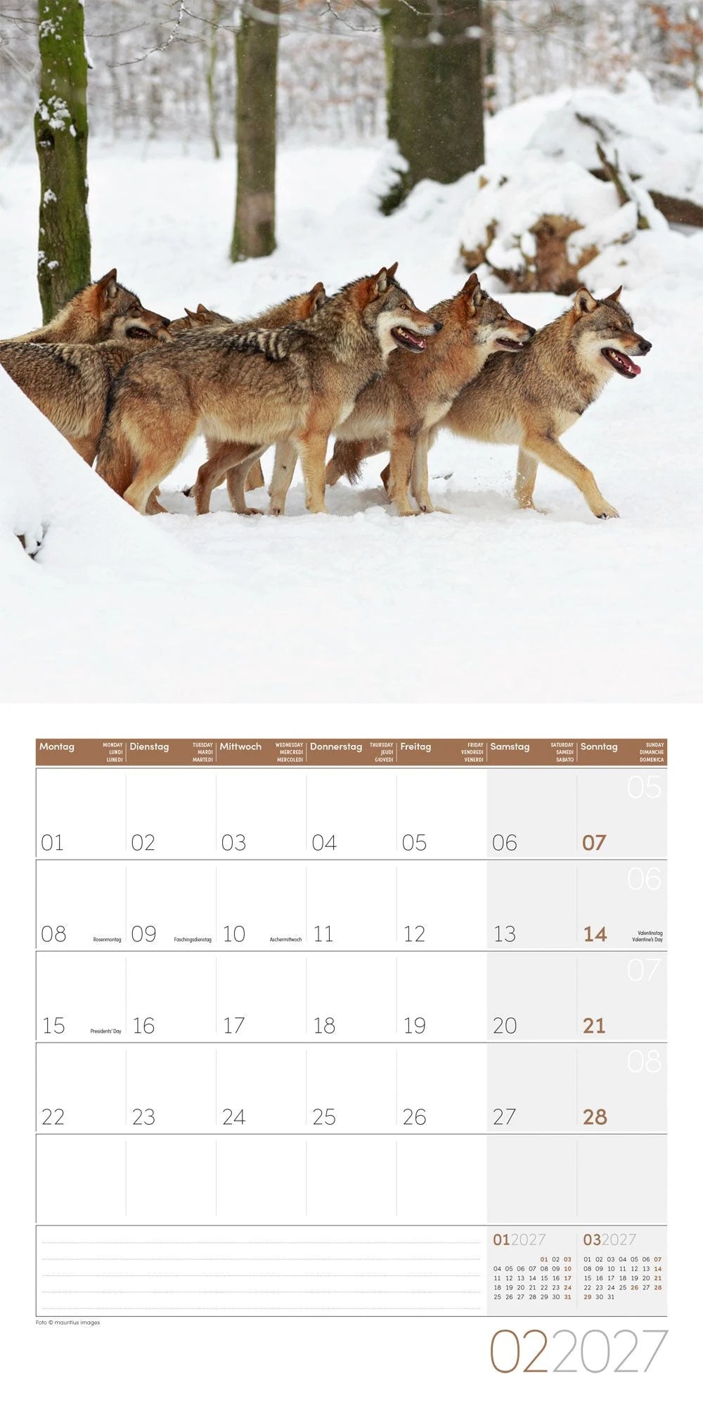Wölfe Kalender 2027 - 30x30 - Art12 – Ansicht