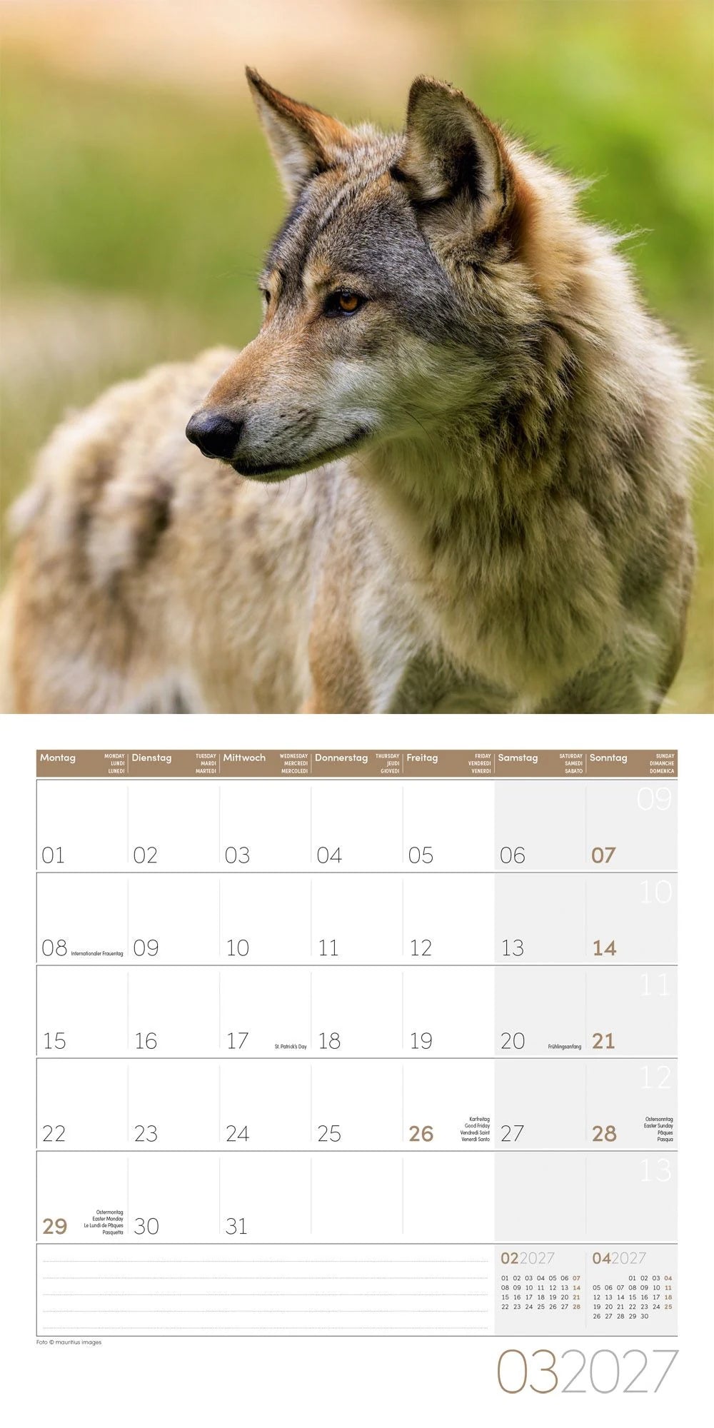 Wölfe Kalender 2027 - 30x30 - Art12 – Ansicht