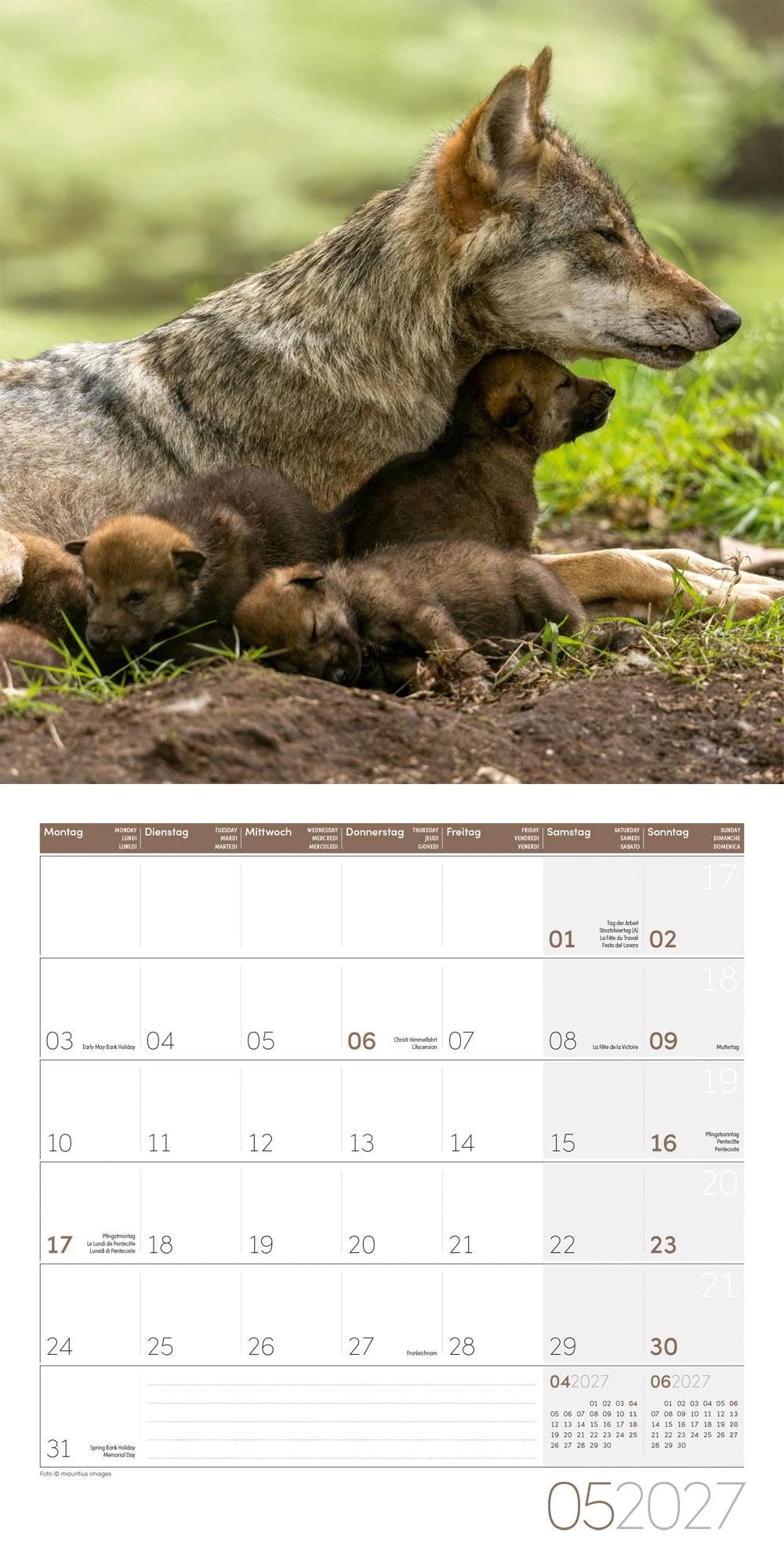Wölfe Kalender 2027 - 30x30 - Art12 – Ansicht