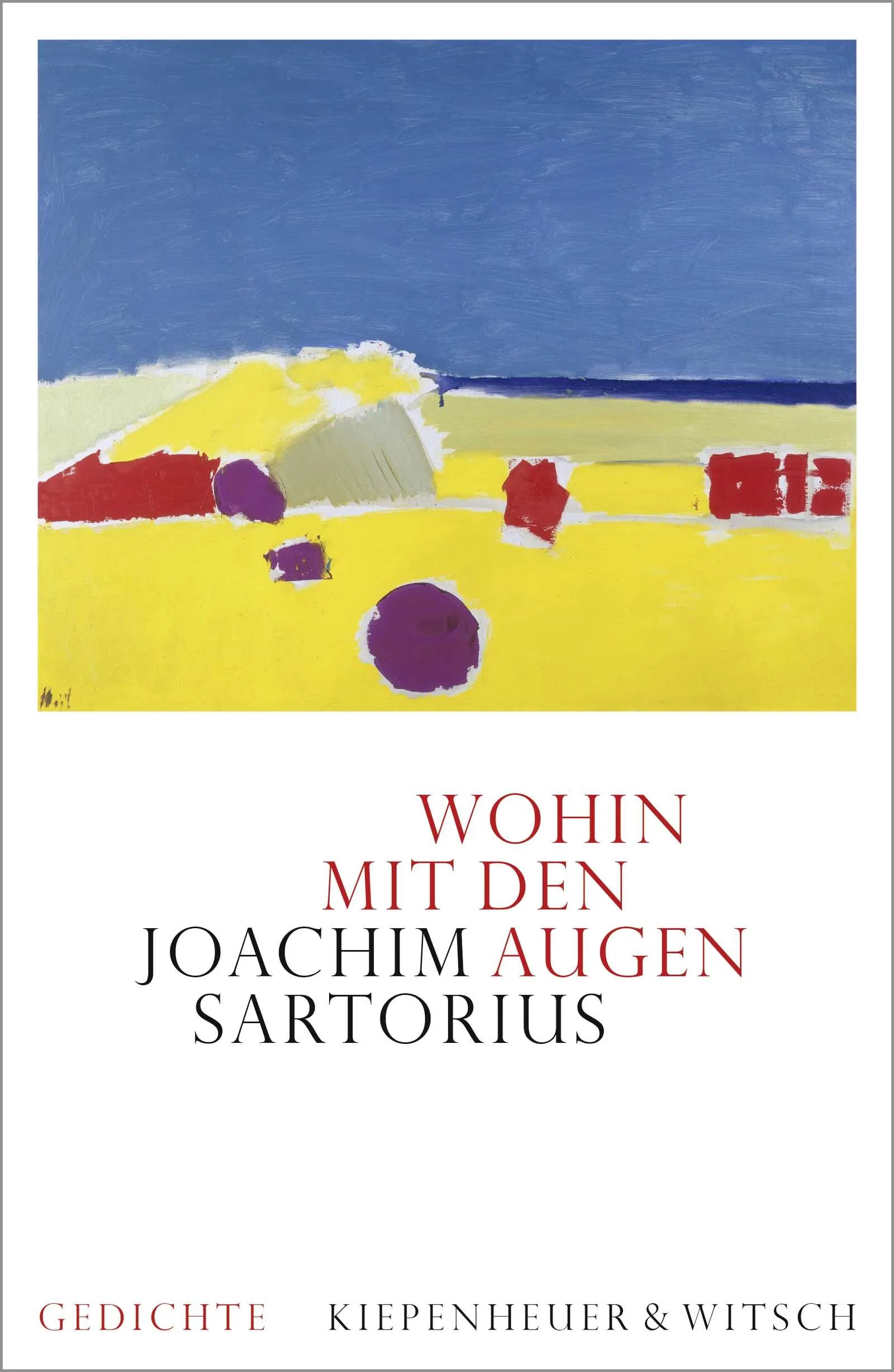 Buchcover von 'Wohin mit den Augen' - Gebundene Ausgabe von Joachim Sartorius