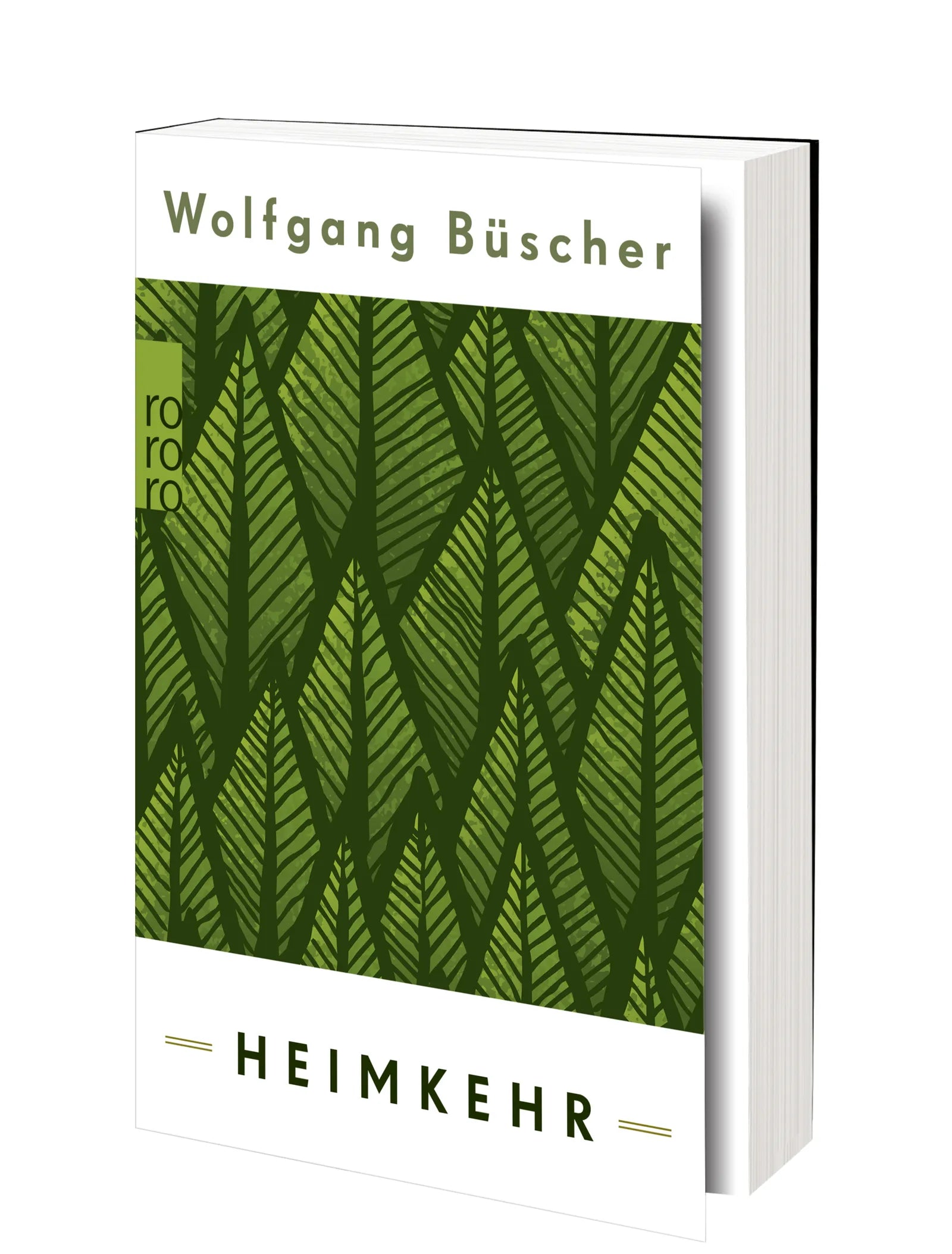 Produktansicht: Heimkehr (Taschenbuch)