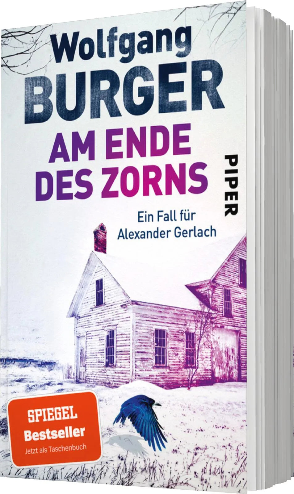 Produktansicht: Am Ende des Zorns (Taschenbuch)