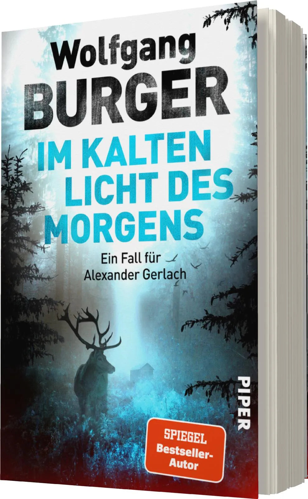 Produktansicht: Im kalten Licht des Morgens (Paperback)