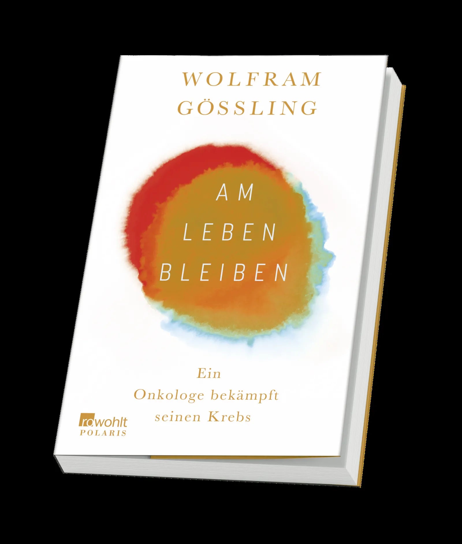 Produktansicht: Am Leben bleiben (Paperback)