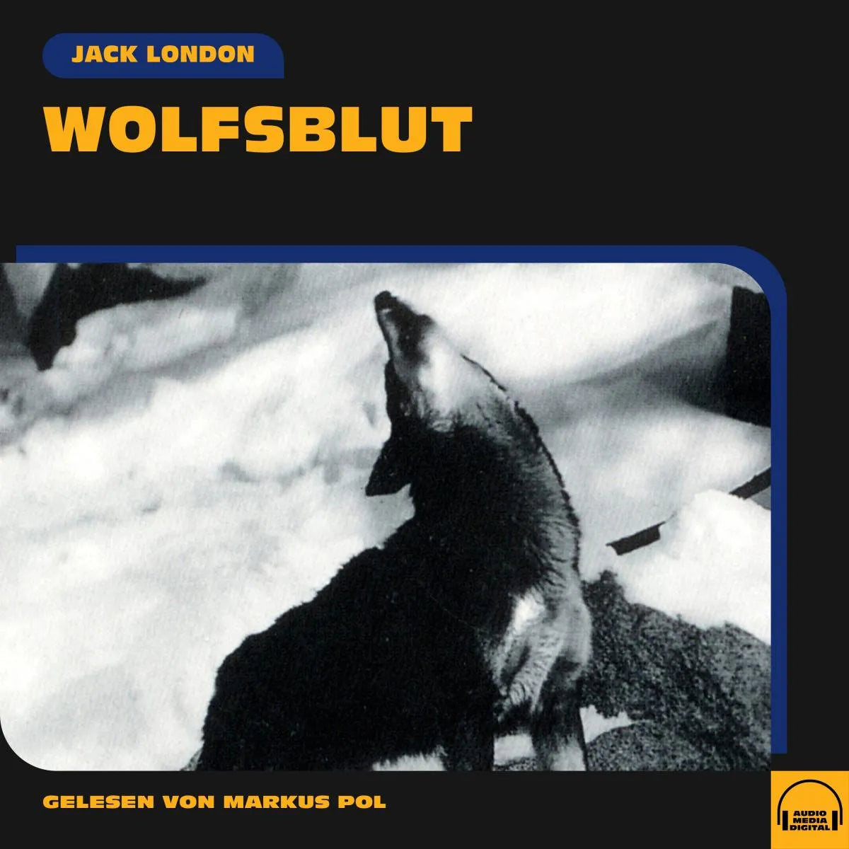 Cover: Wolfsblut (Hörbuch Download) von Jack London
