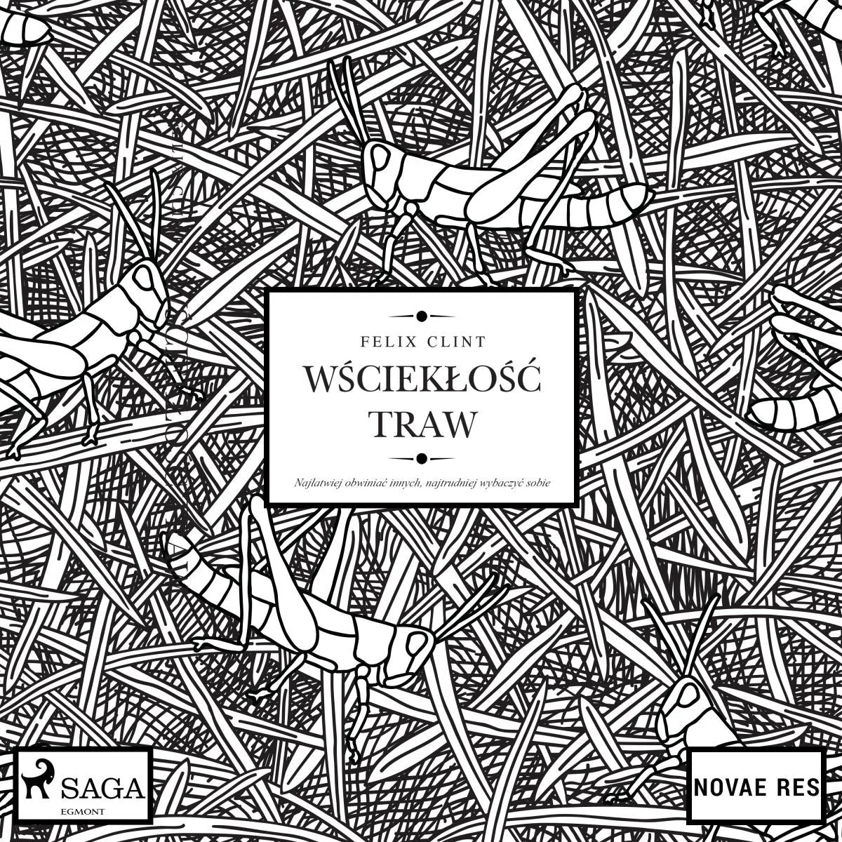 Cover: Wściekłość traw (Hörbuch Download) von Felix Clint