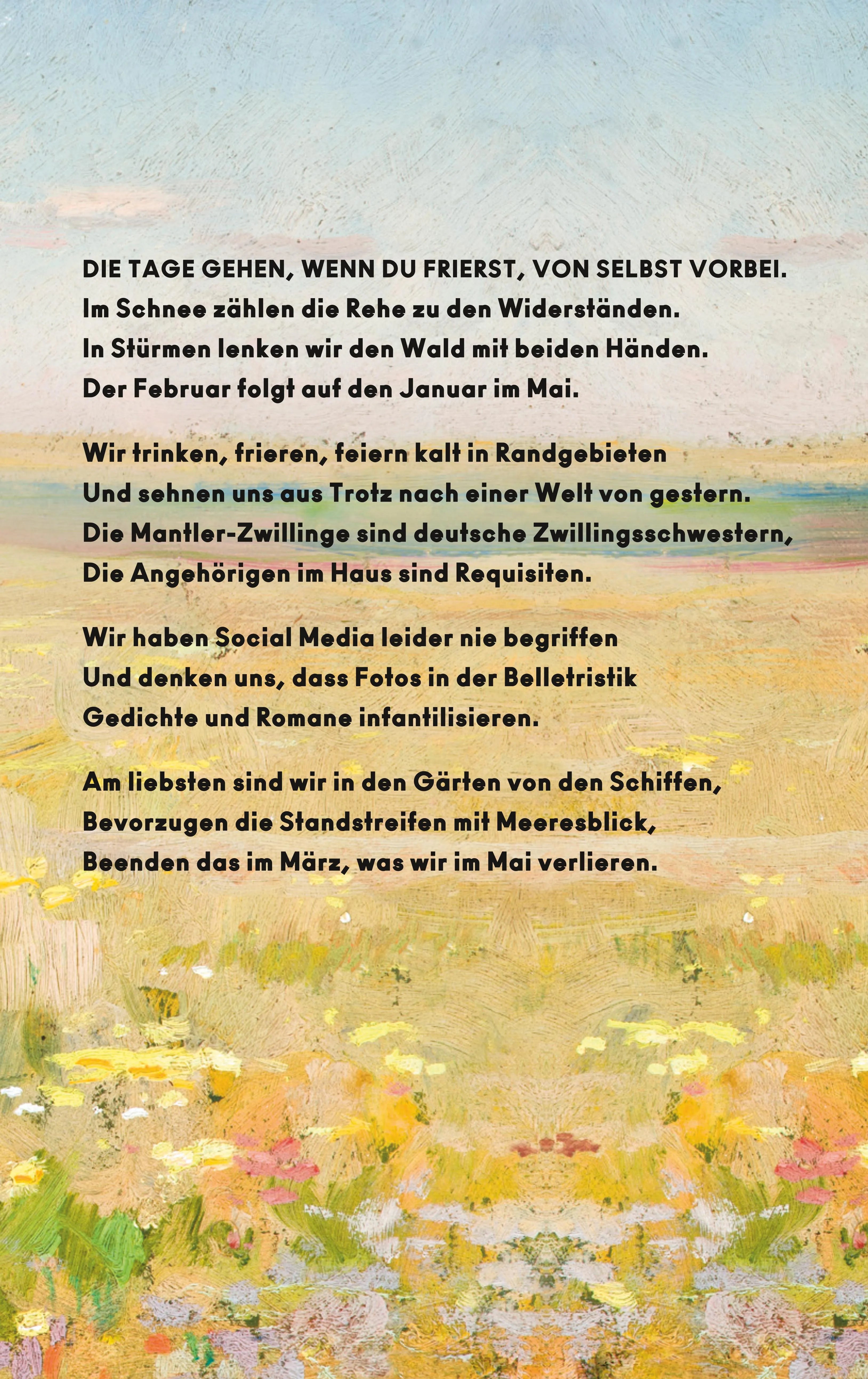 Buchrückseite von 'WÜ' mit Klappentext - Gebundene Ausgabe