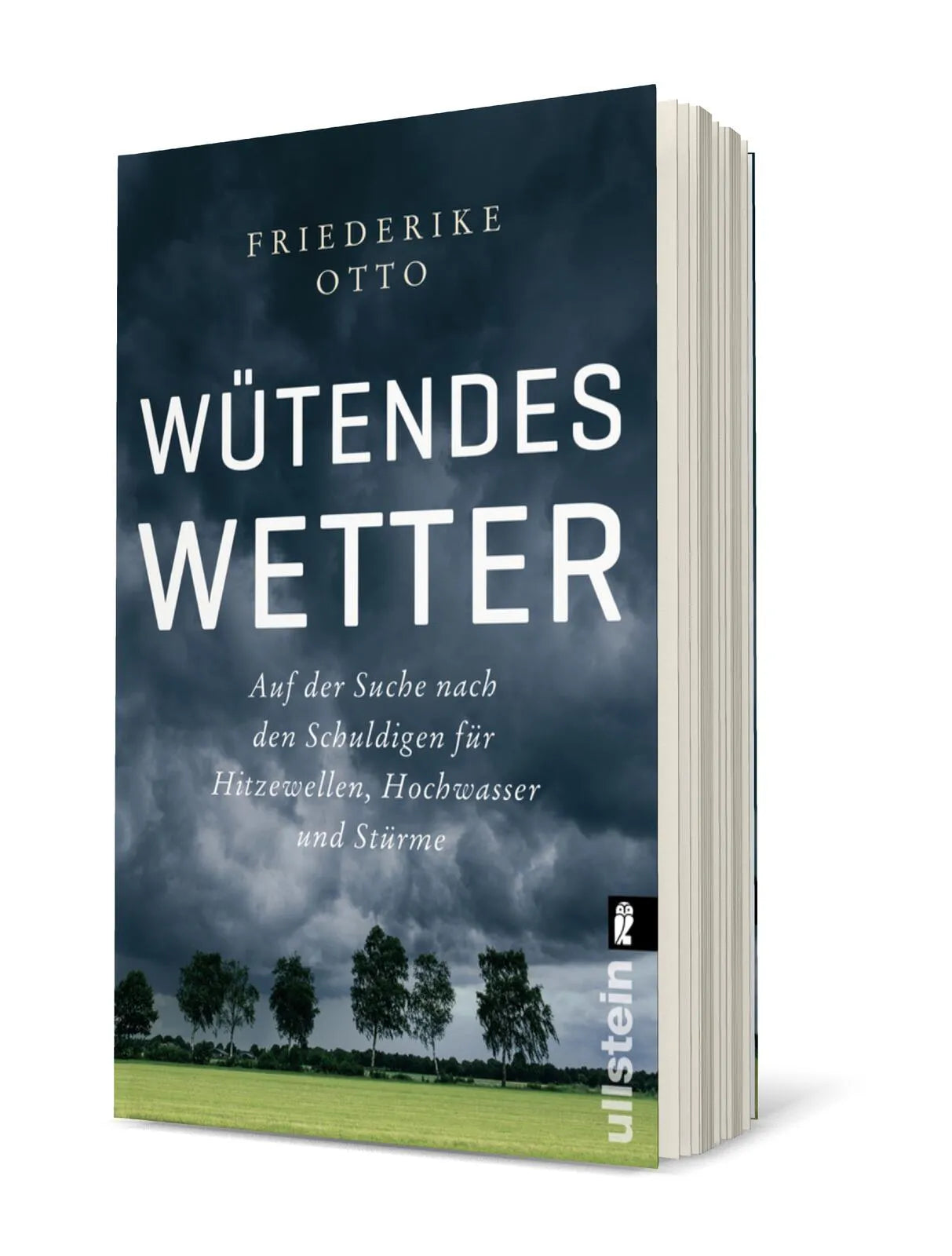Detailansicht: Wütendes Wetter (Taschenbuch)