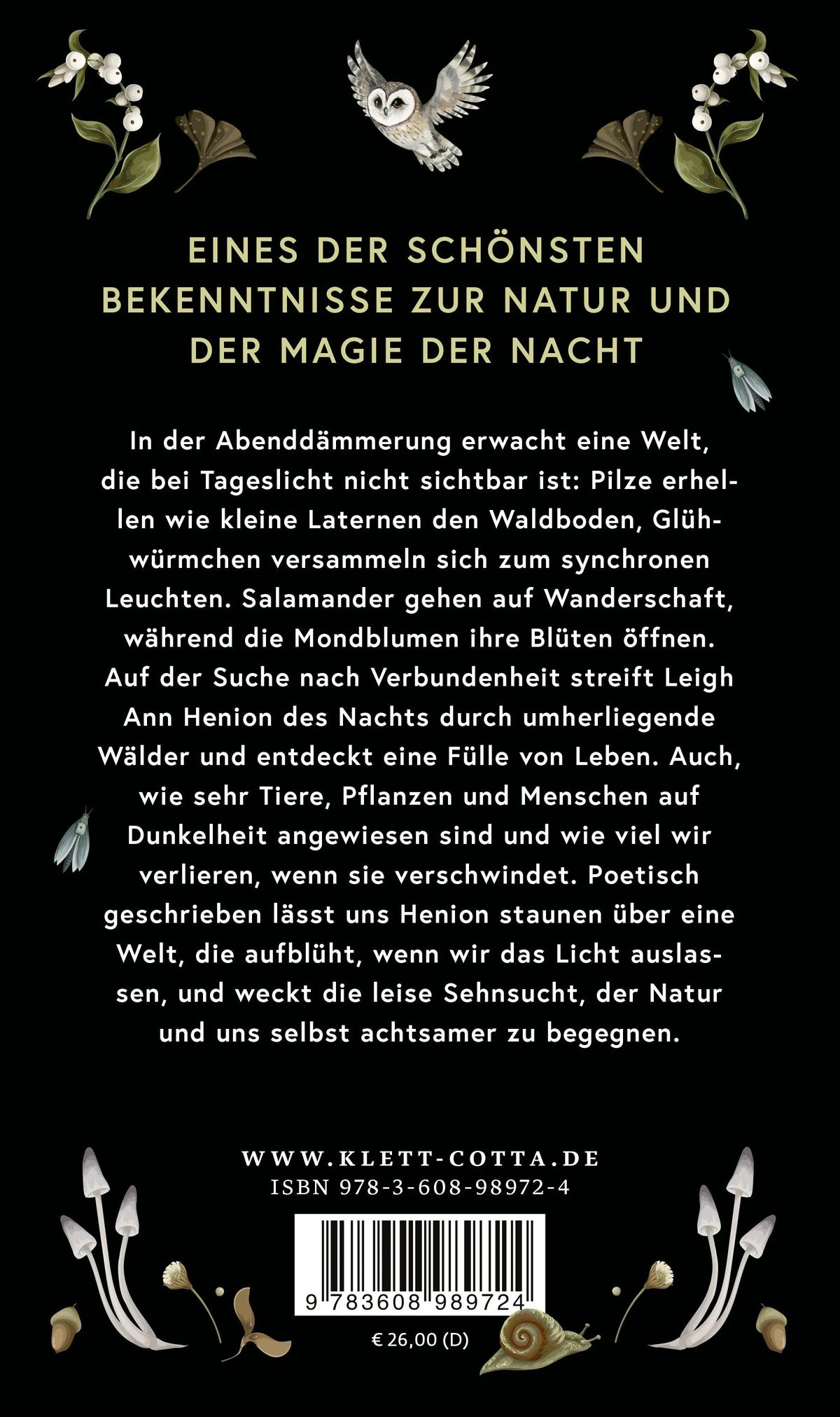 Rückseite: Wunder der Nacht (Hardcover)