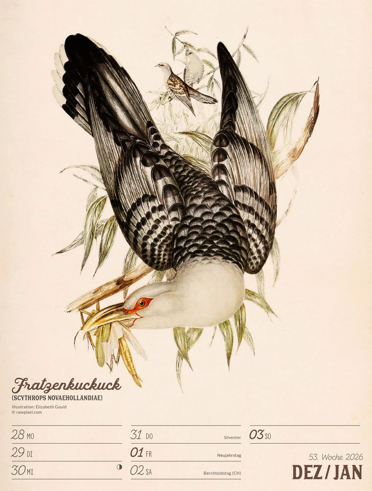 Wunderbare Vogelwelt Wochenplaner Kalender 2027 – Ansicht