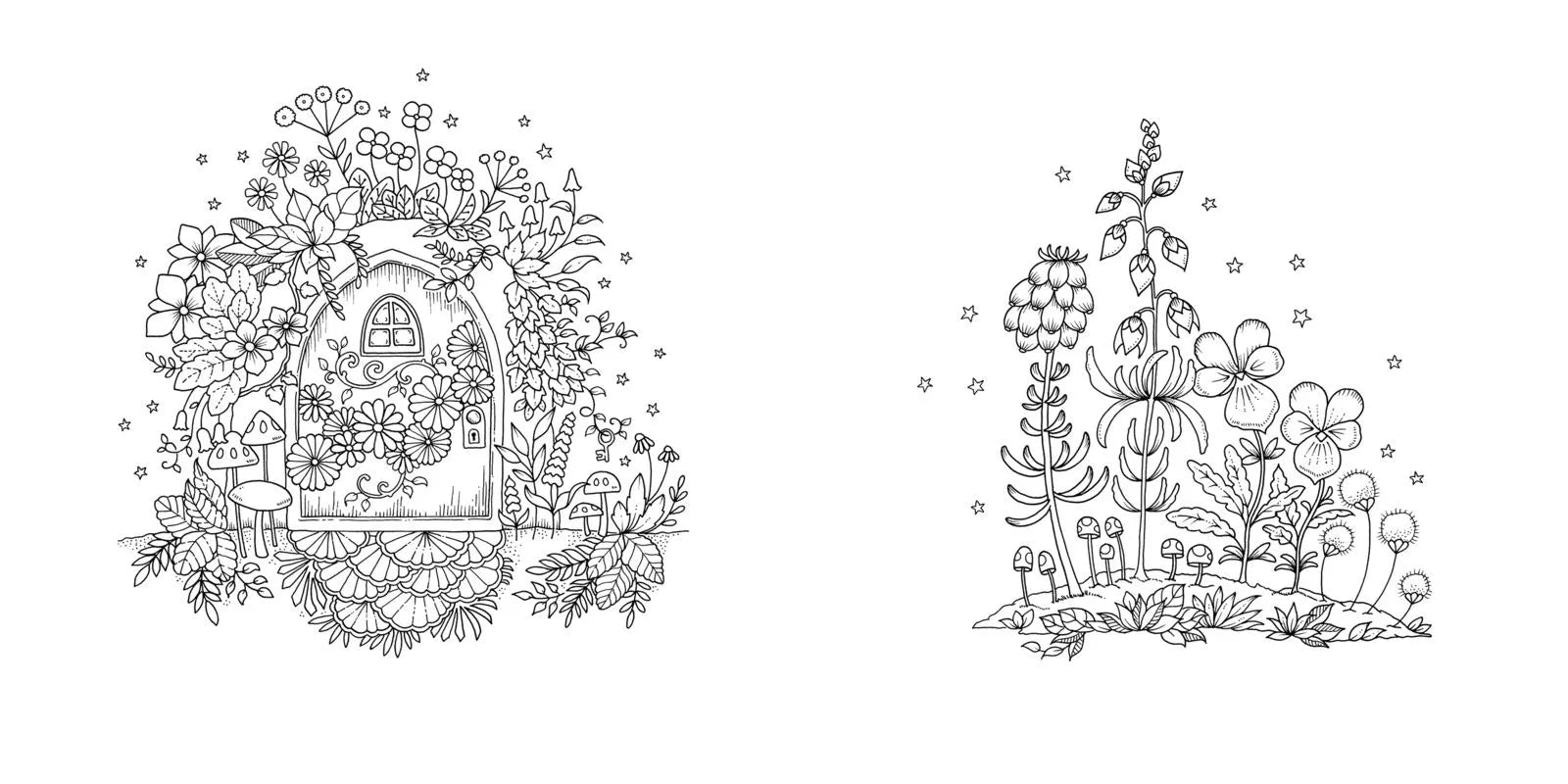 Innenansicht von 'Wundervolle Wildblumen' - Taschenbuch