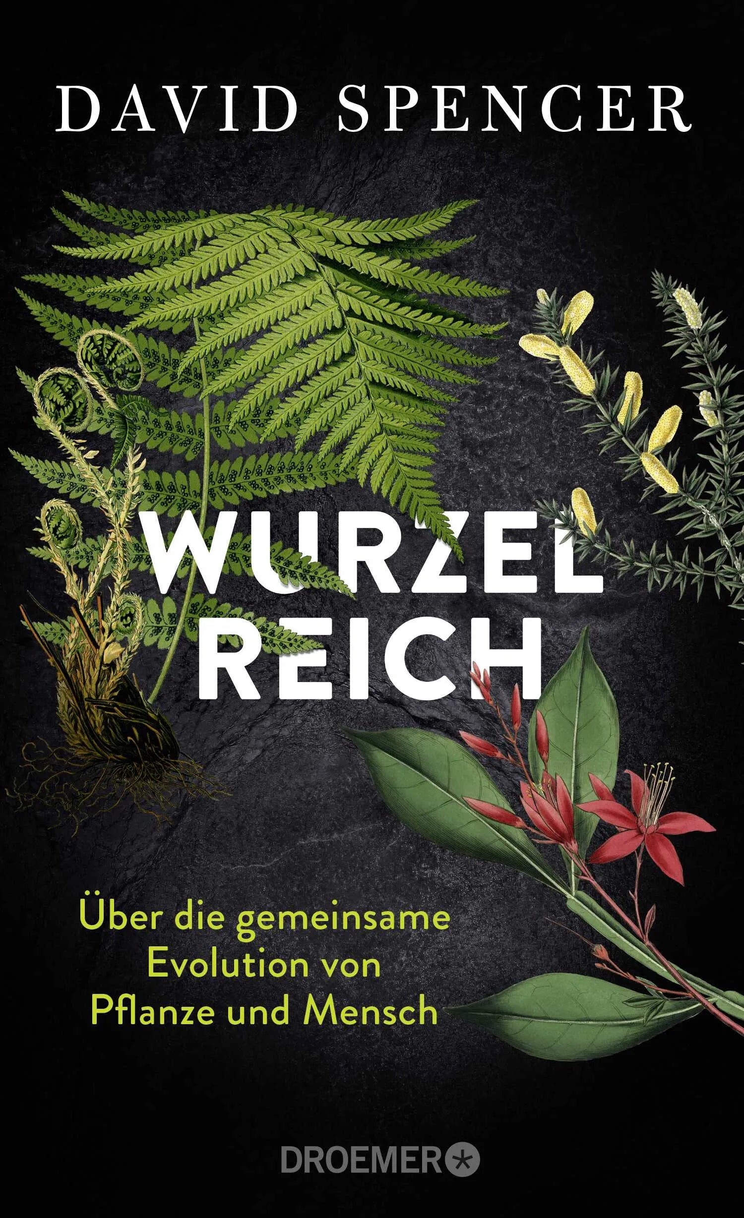 Buchcover von 'Wurzelreich' - Gebundene Ausgabe von David Spencer