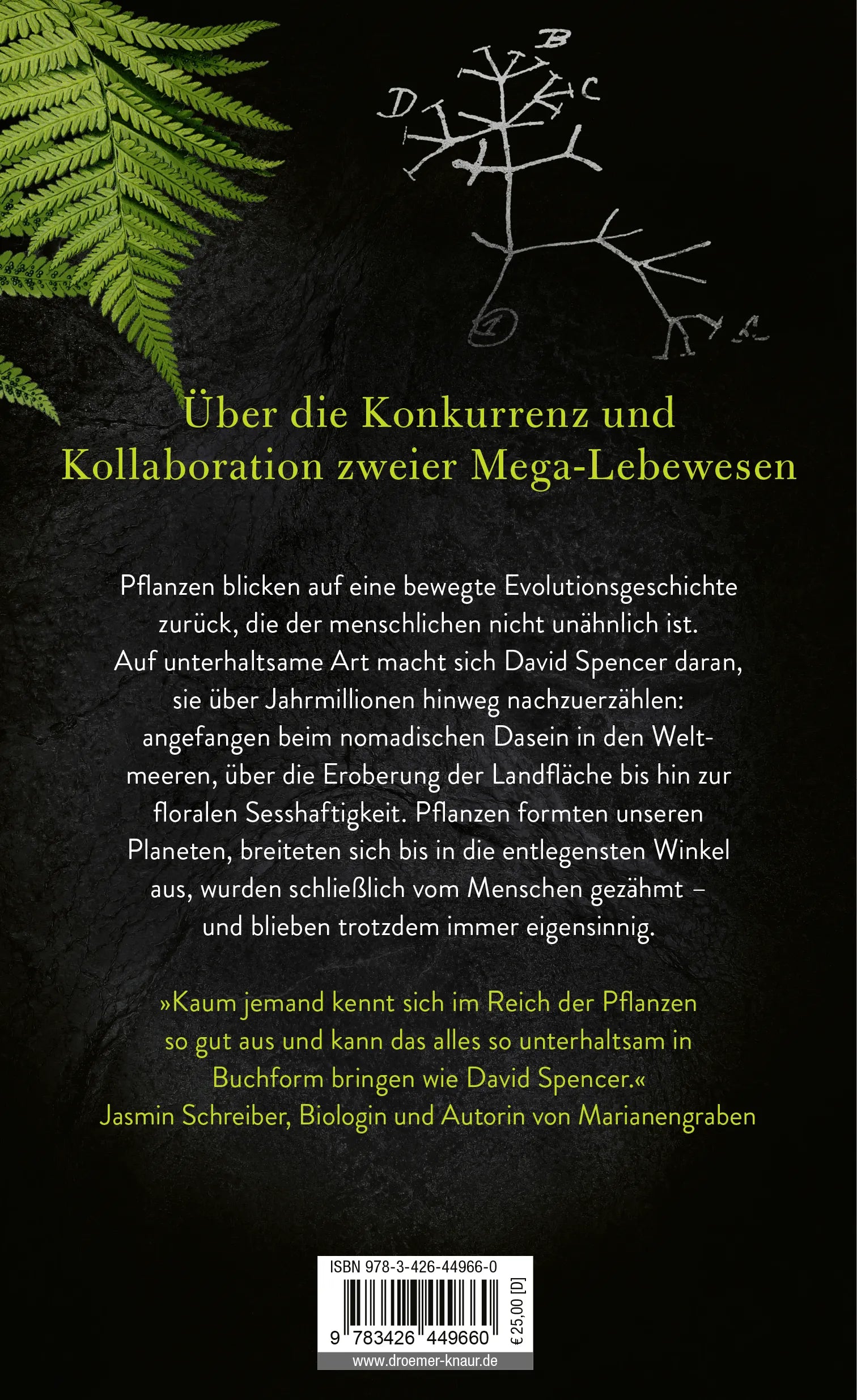 Buchrückseite von 'Wurzelreich' mit Klappentext - Gebundene Ausgabe