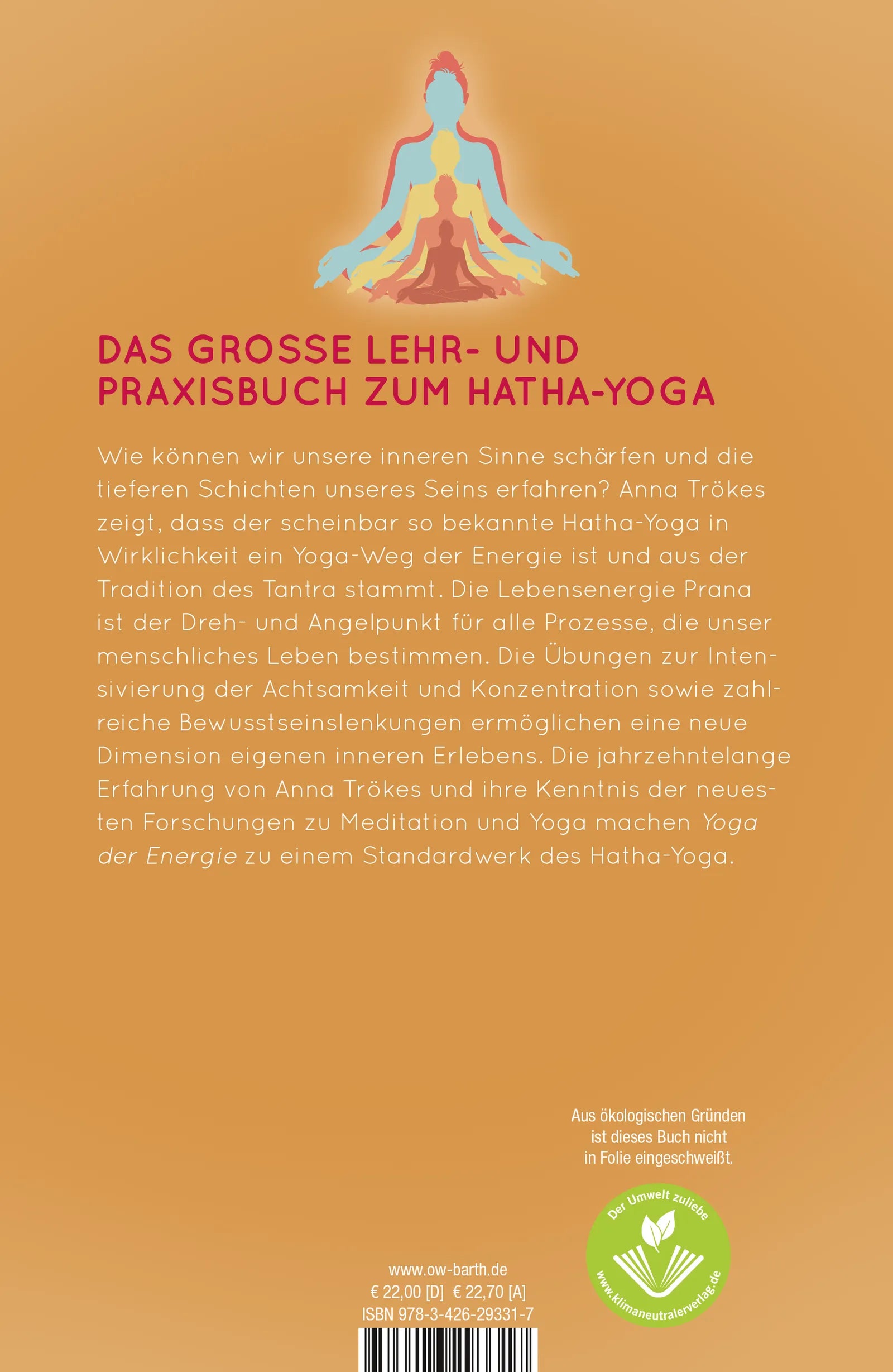 Buchrückseite von 'Yoga der Energie' mit Klappentext - Gebundene Ausgabe
