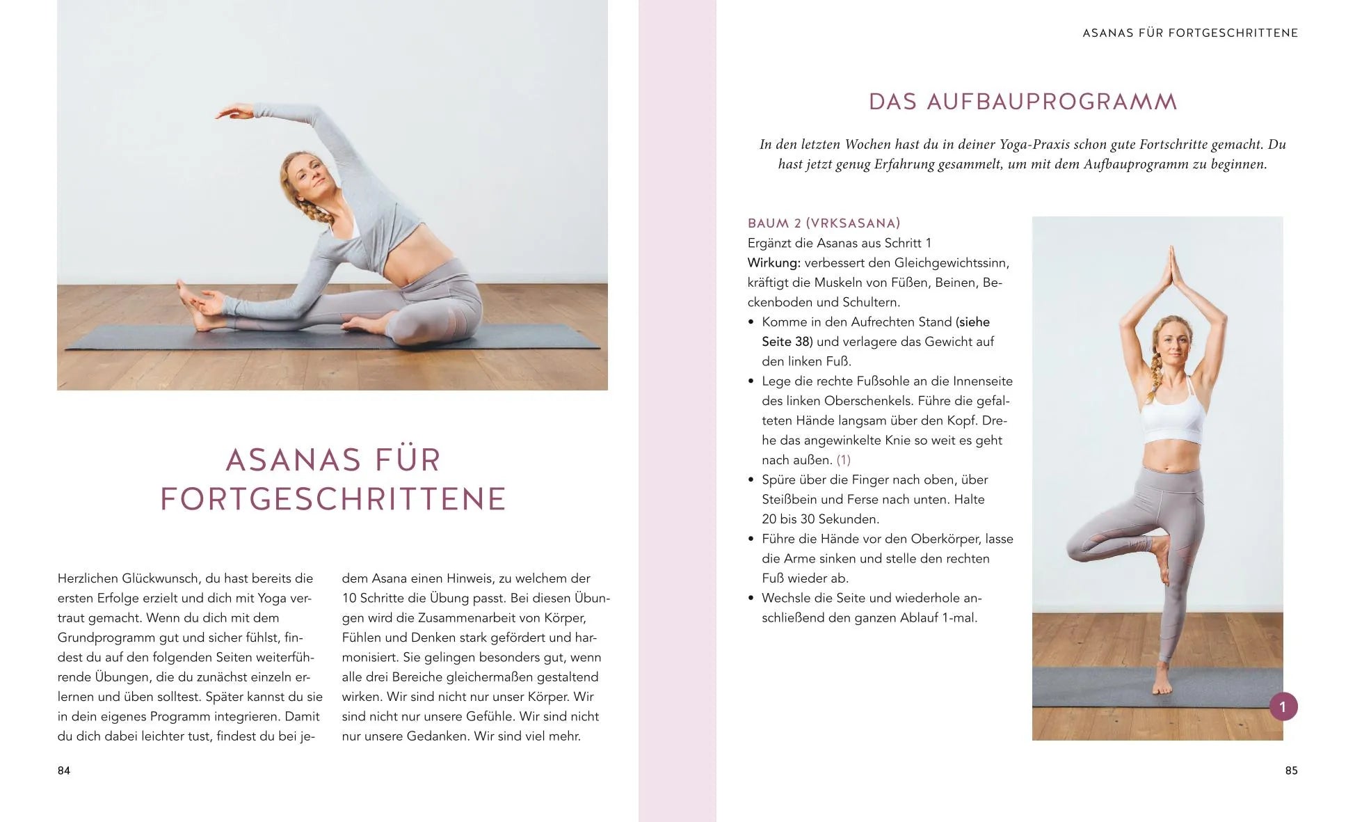 Harry Waesse - Yoga für Einsteiger