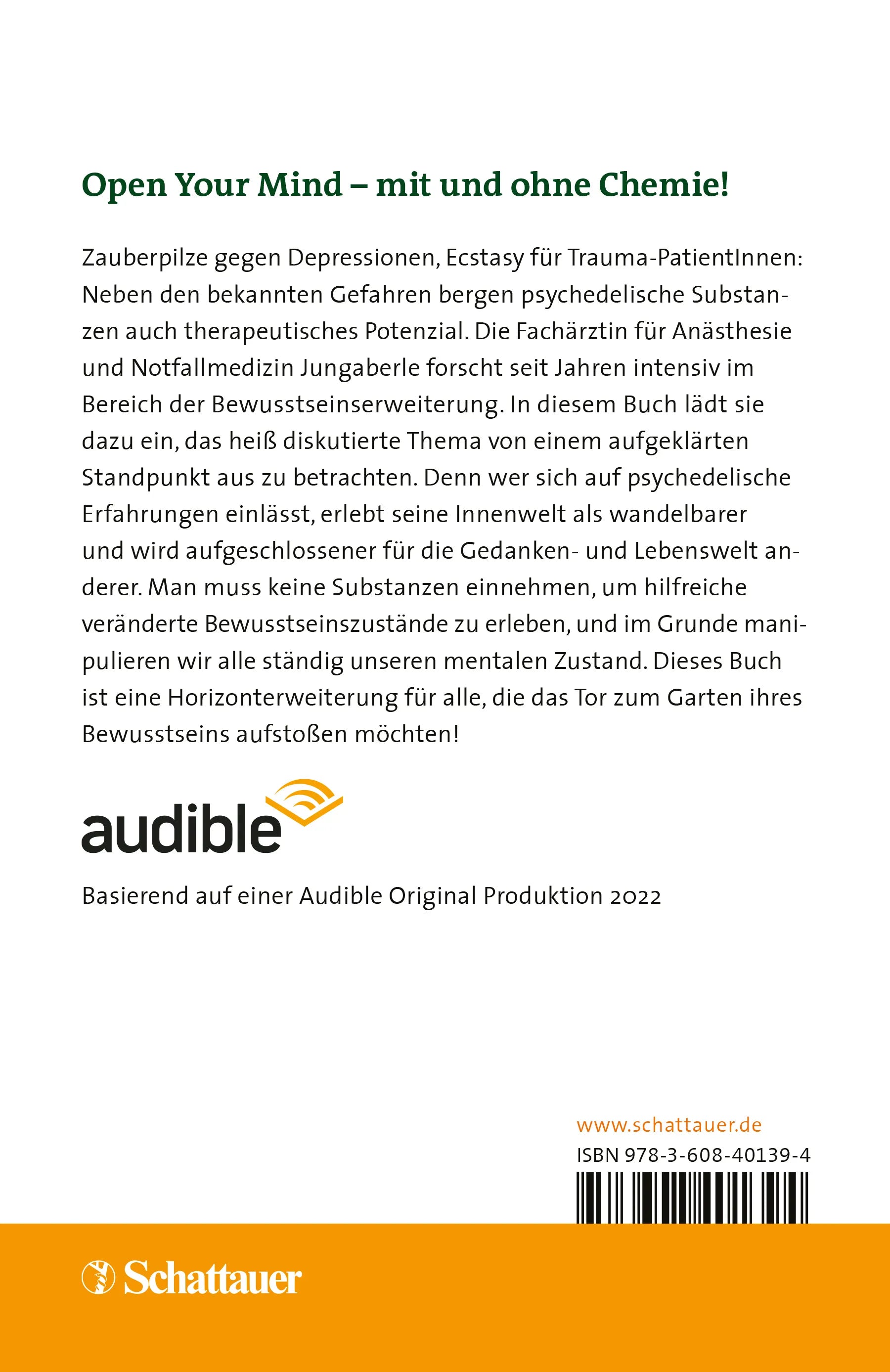 Buchrückseite von 'Yoga, Tee, LSD' mit Klappentext - Paperback