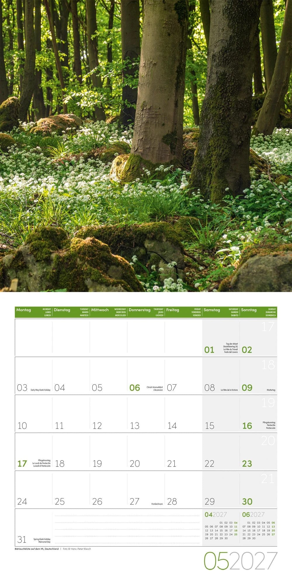 Zauber des Waldes Kalender 2027 - 30x30 - Art12 – Ansicht