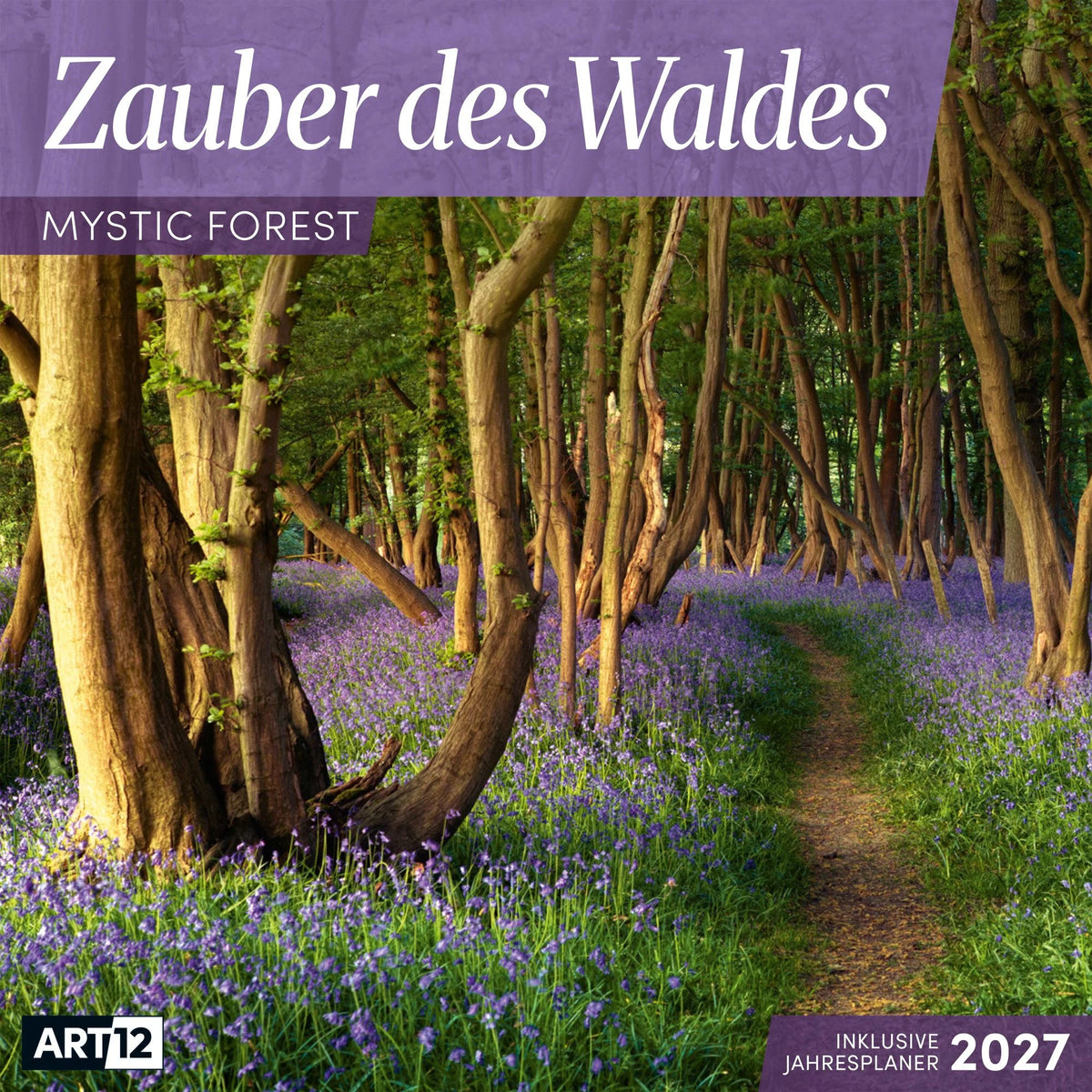Wandkalender: Zauber des Waldes Kalender 2027 - 30x30 - Art12
