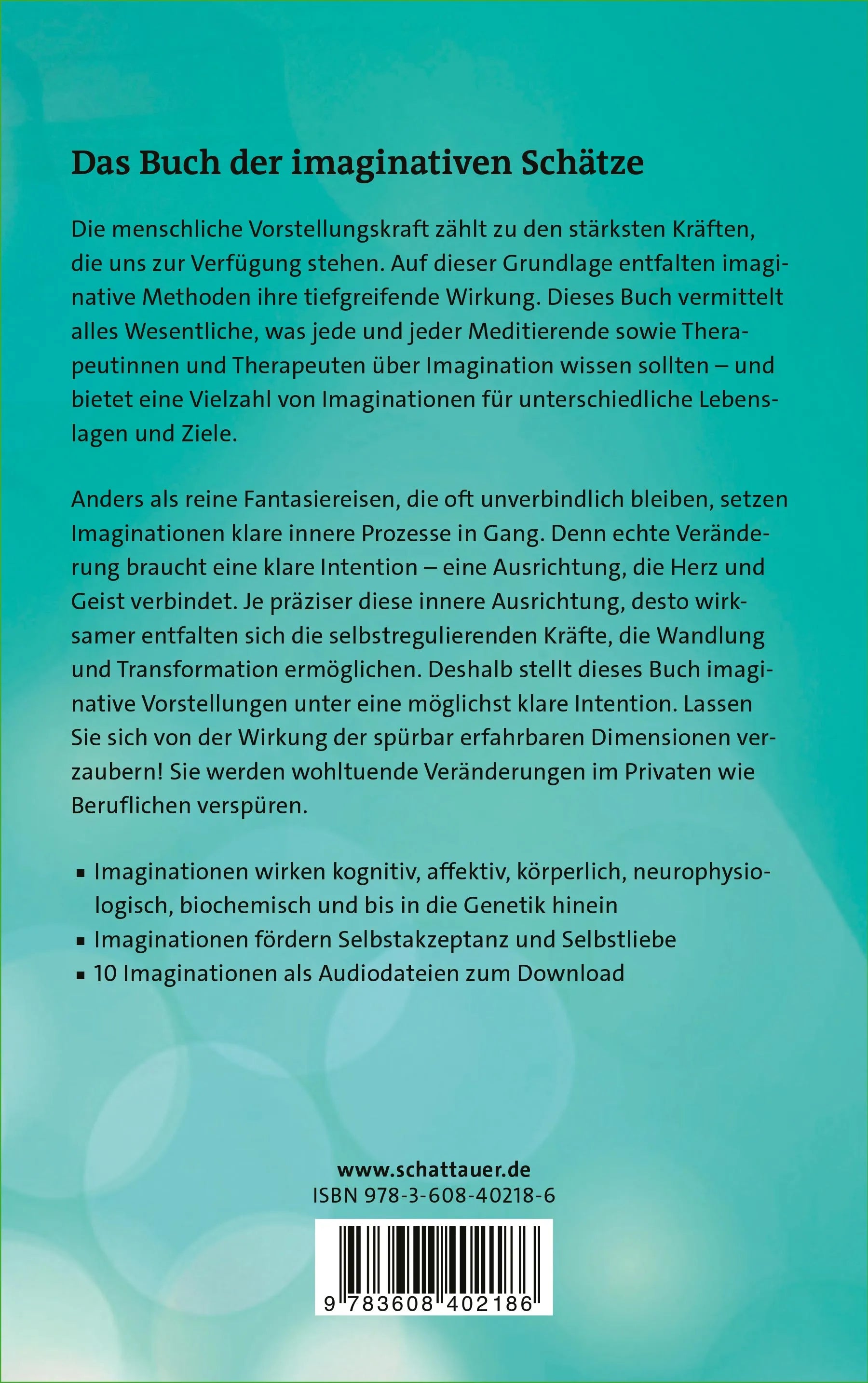 Buchrückseite von 'Zaubern im Gehirn' mit Klappentext - Paperback