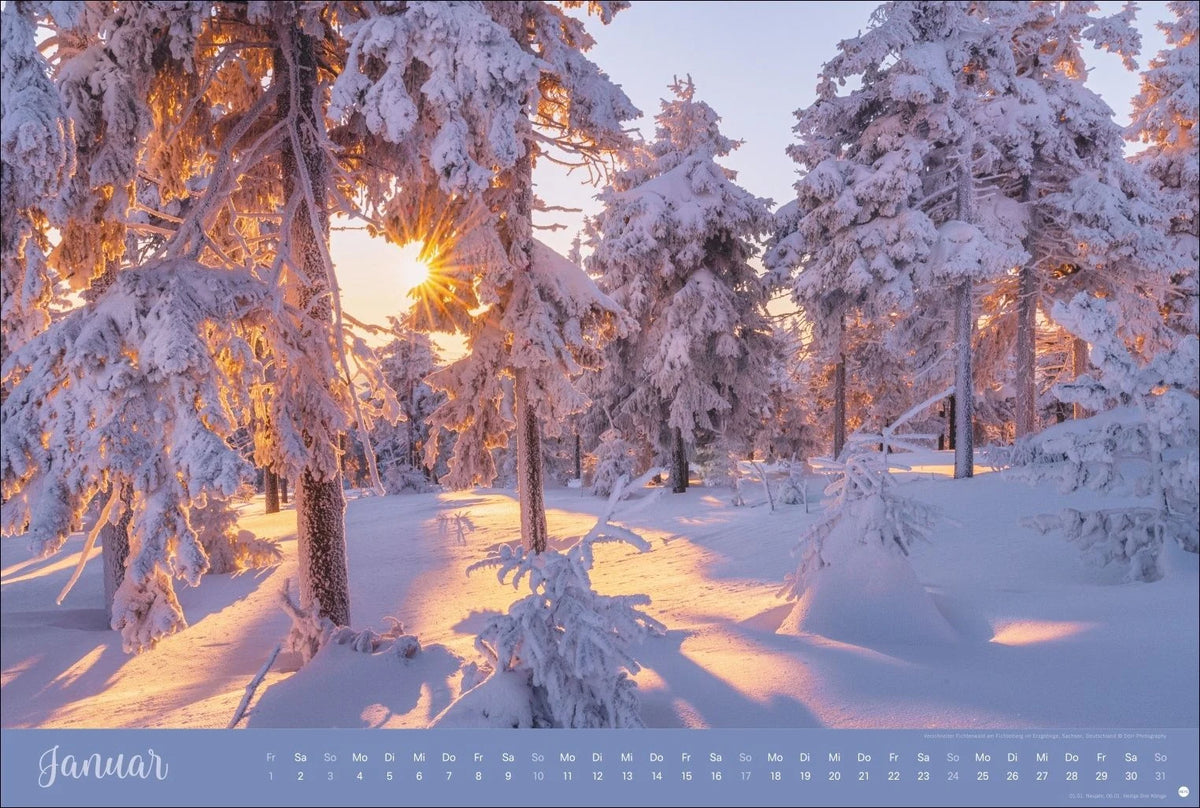 Zauberwälder Edition Kalender 2027 – Ansicht