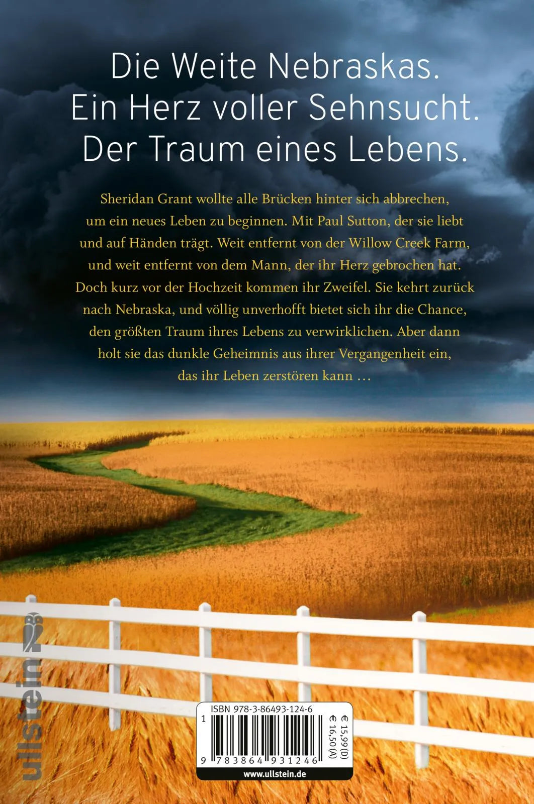Buchrückseite von 'Zeiten des Sturms' mit Klappentext - Paperback