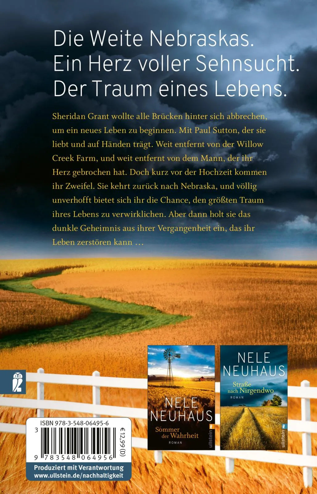 Buchrückseite von 'Zeiten des Sturms' mit Klappentext - Taschenbuch