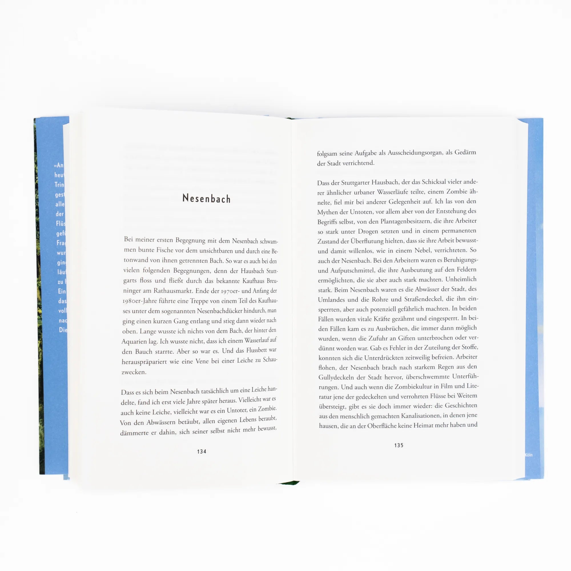 Detailansicht: Zeitströme. Über Flüsse und Menschen (Hardcover)
