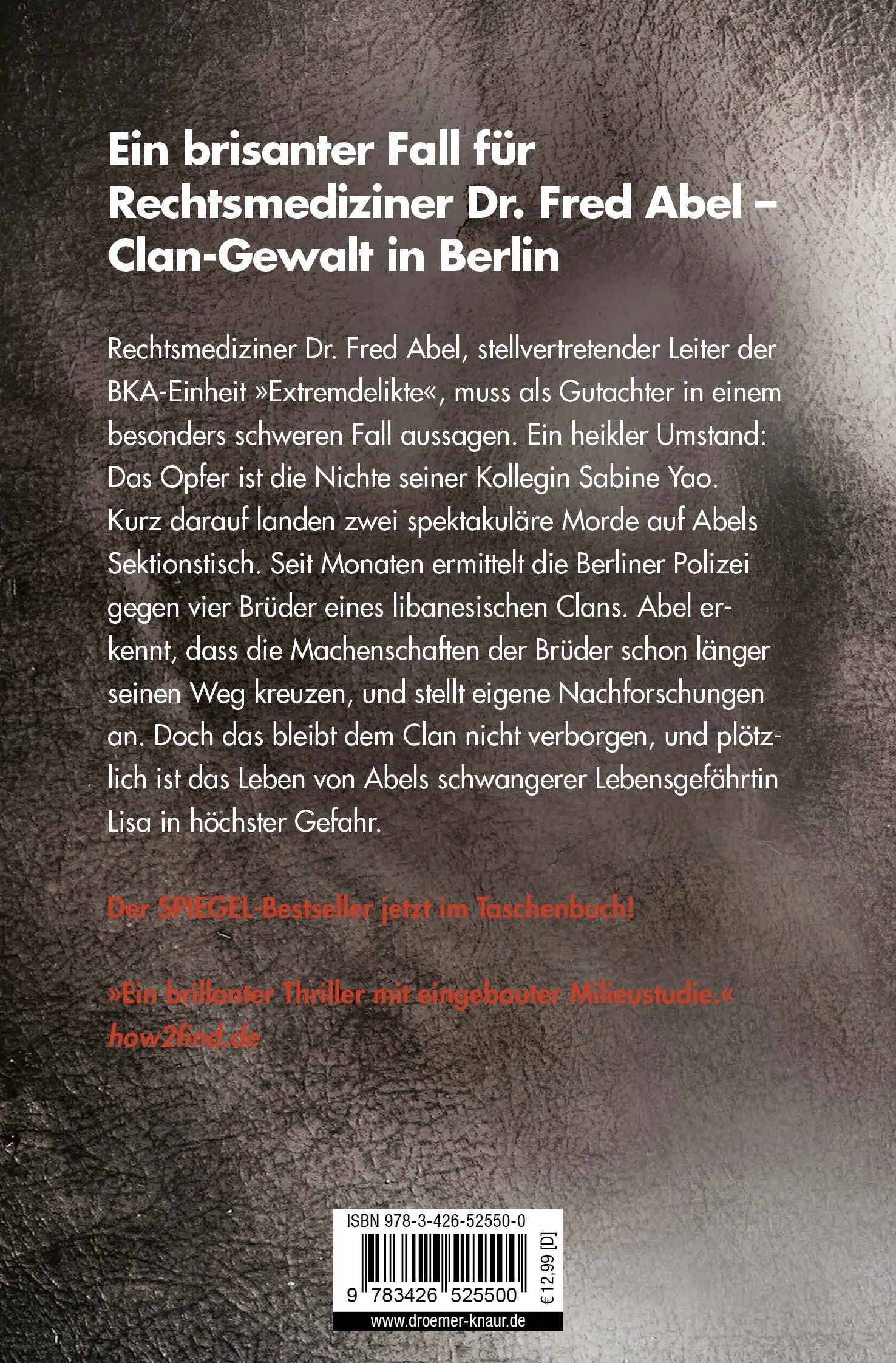 Buchrückseite von 'Zerrissen' mit Klappentext - Taschenbuch