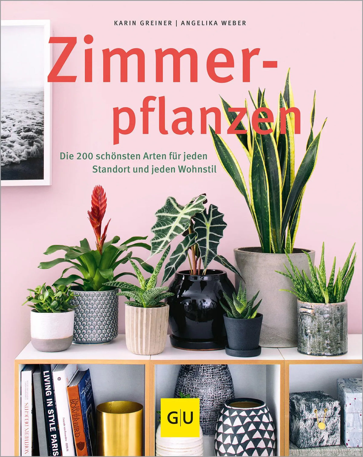 Cover: Zimmerpflanzen (Hardcover) von Karin Greiner