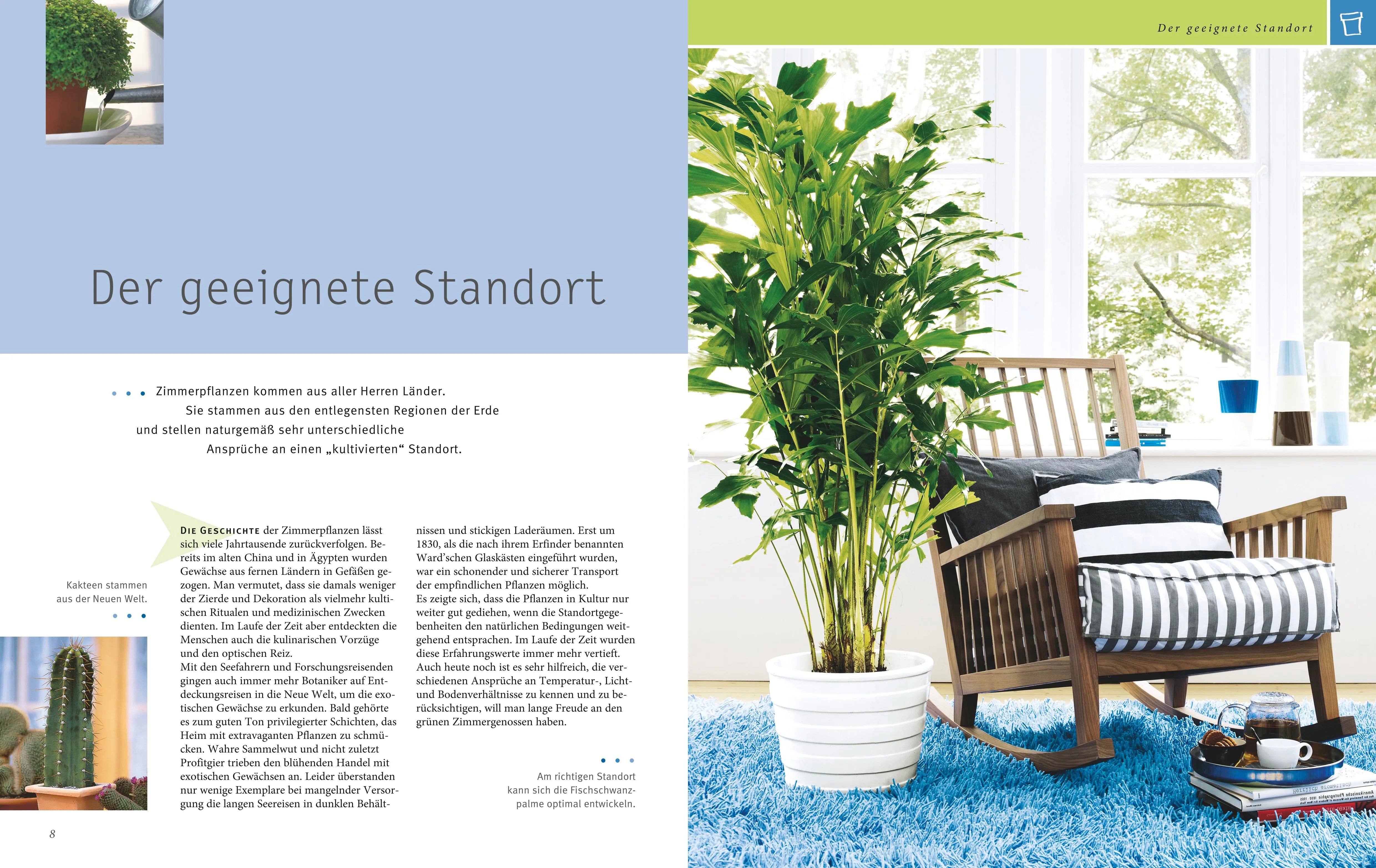 Produktansicht: Zimmerpflanzen (Gebundene Ausgabe)