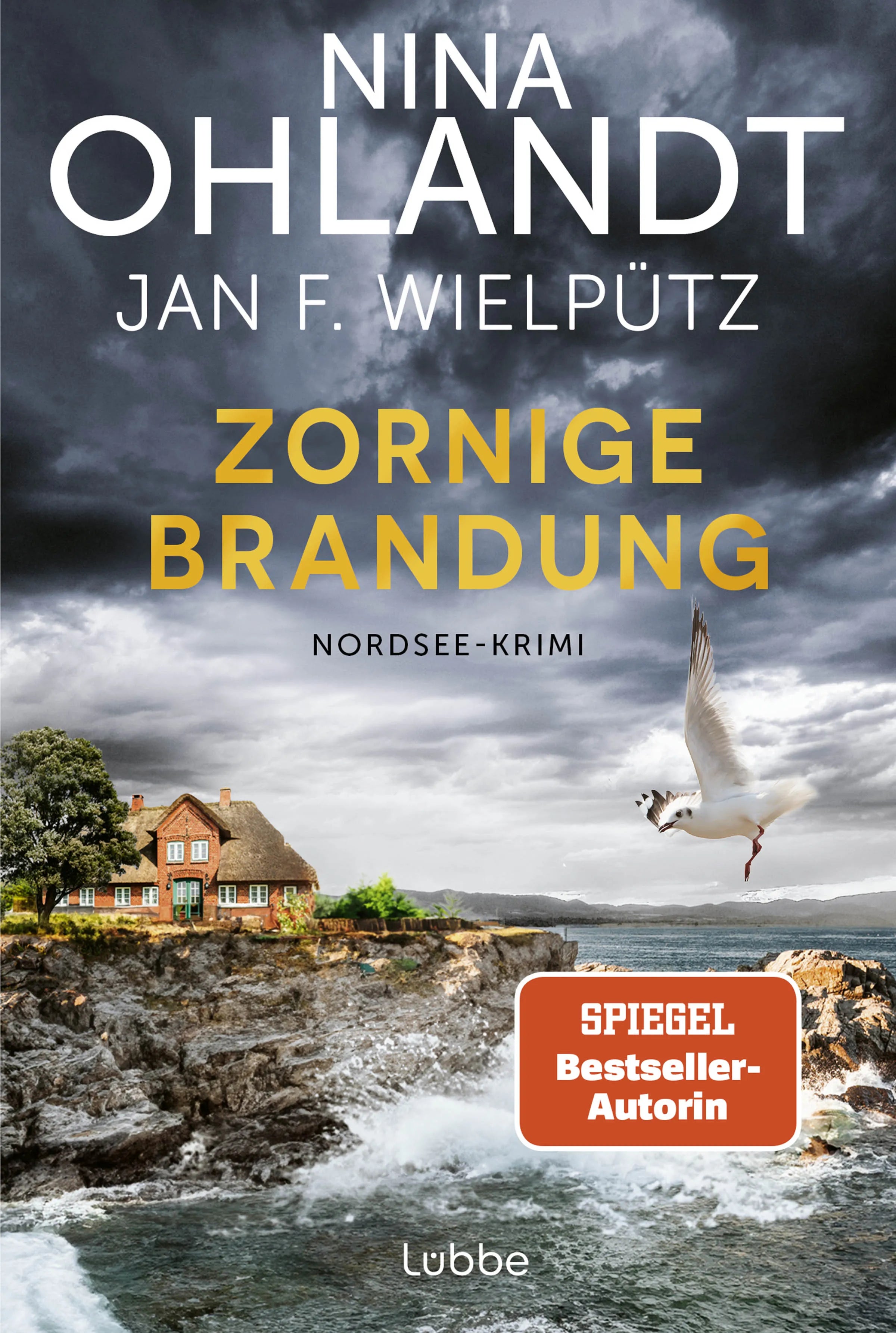 Cover: Zornige Brandung (Taschenbuch) von Nina Ohlandt